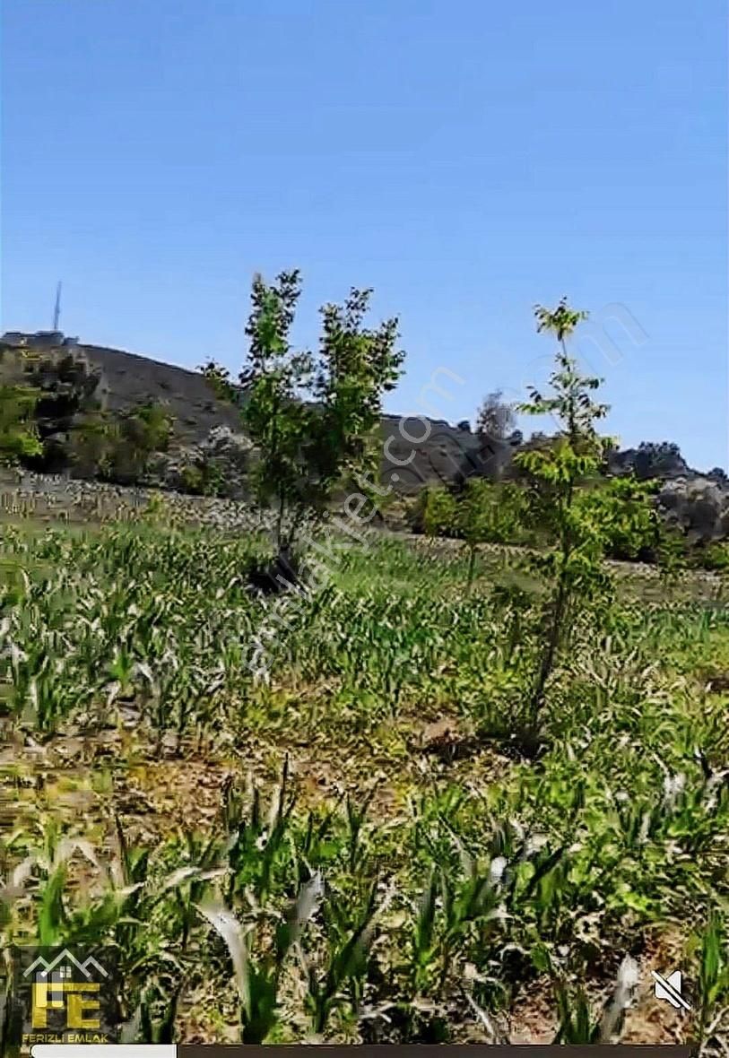 Sakarya Nehrine Sıfır Konumda Veririm Arazimiz Satılıtır - Görsel 2