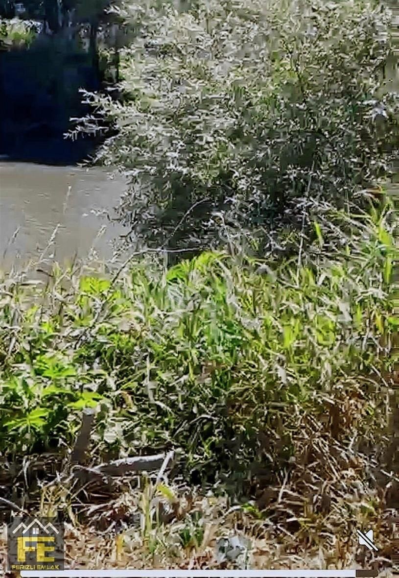 Sakarya Nehrine Sıfır Konumda Veririm Arazimiz Satılıtır - Görsel 6