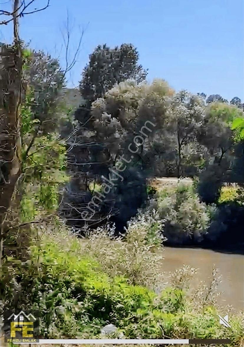 Sakarya Nehrine Sıfır Konumda Veririm Arazimiz Satılıtır - Görsel 4
