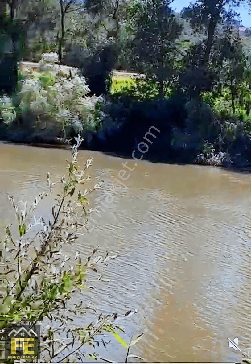 Sakarya Nehrine Sıfır Konumda Veririm Arazimiz Satılıtır