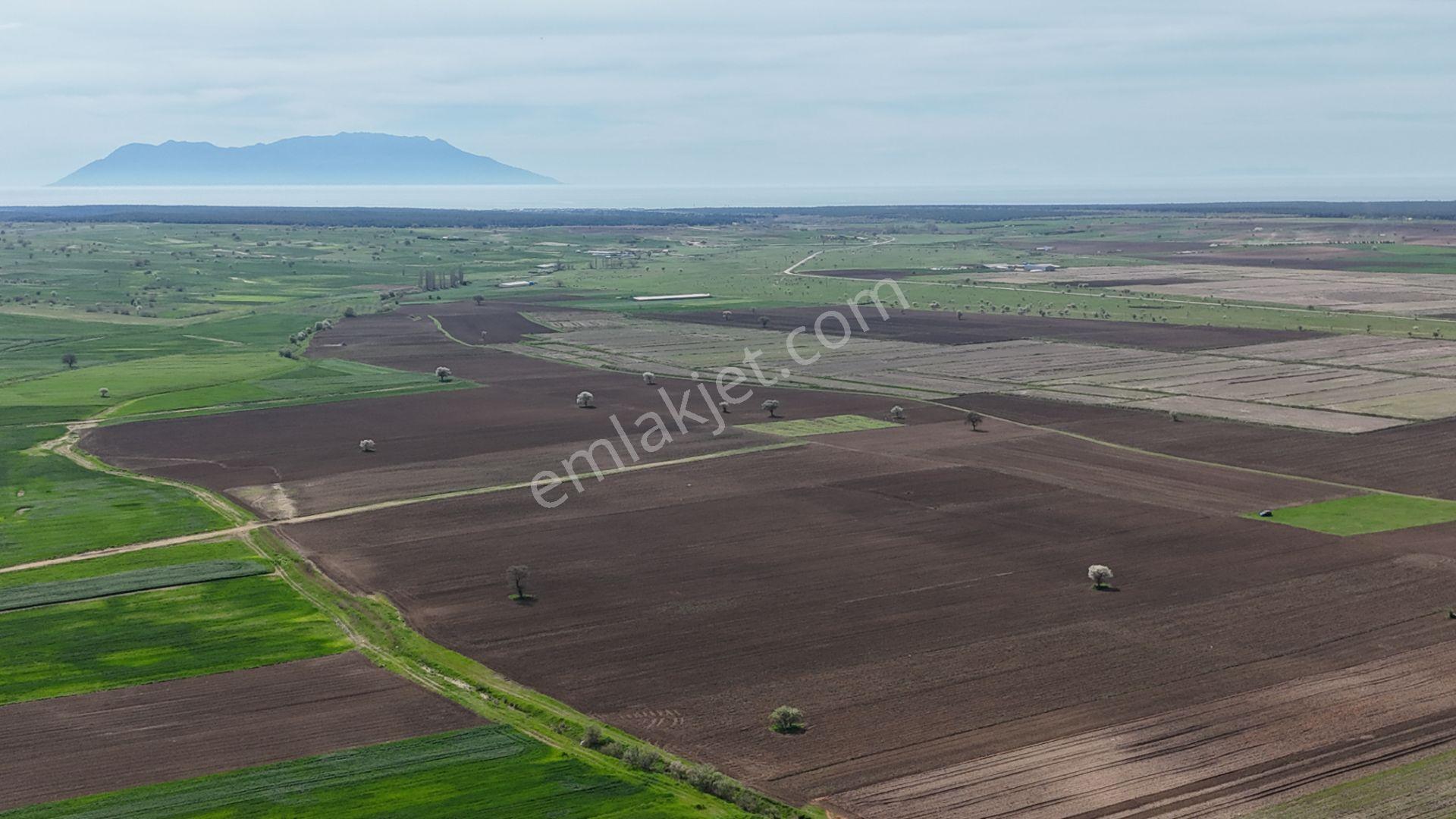 Ege Emlak'tan Enez Yenice De Sahile Yakın Arazi - Görsel 11