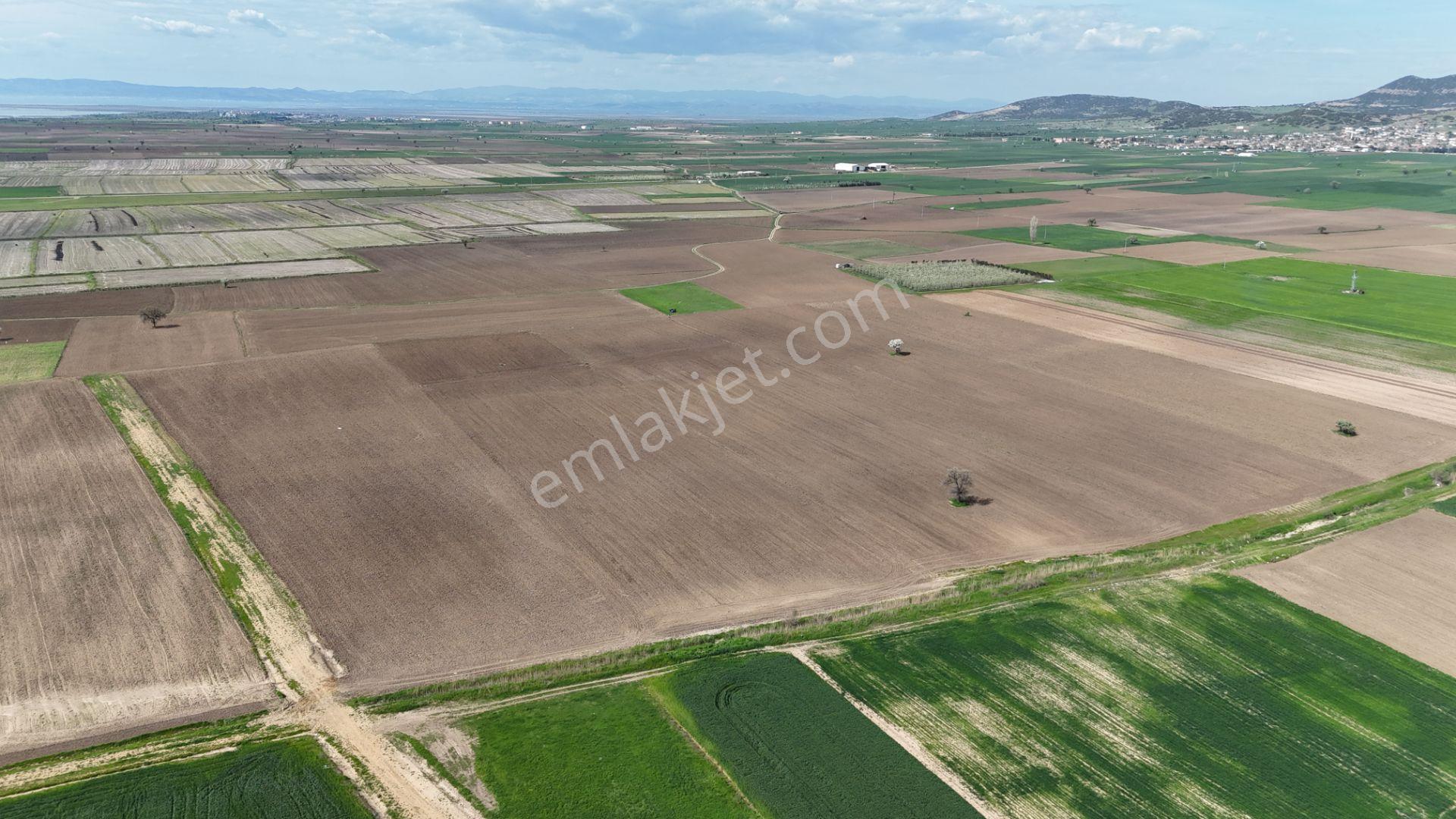 Ege Emlak'tan Enez Yenice De Sahile Yakın Arazi - Görsel 3