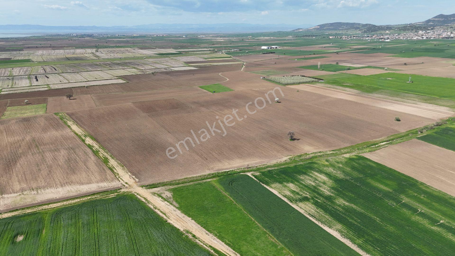 Ege Emlak'tan Enez Yenice De Sahile Yakın Arazi - Görsel 4