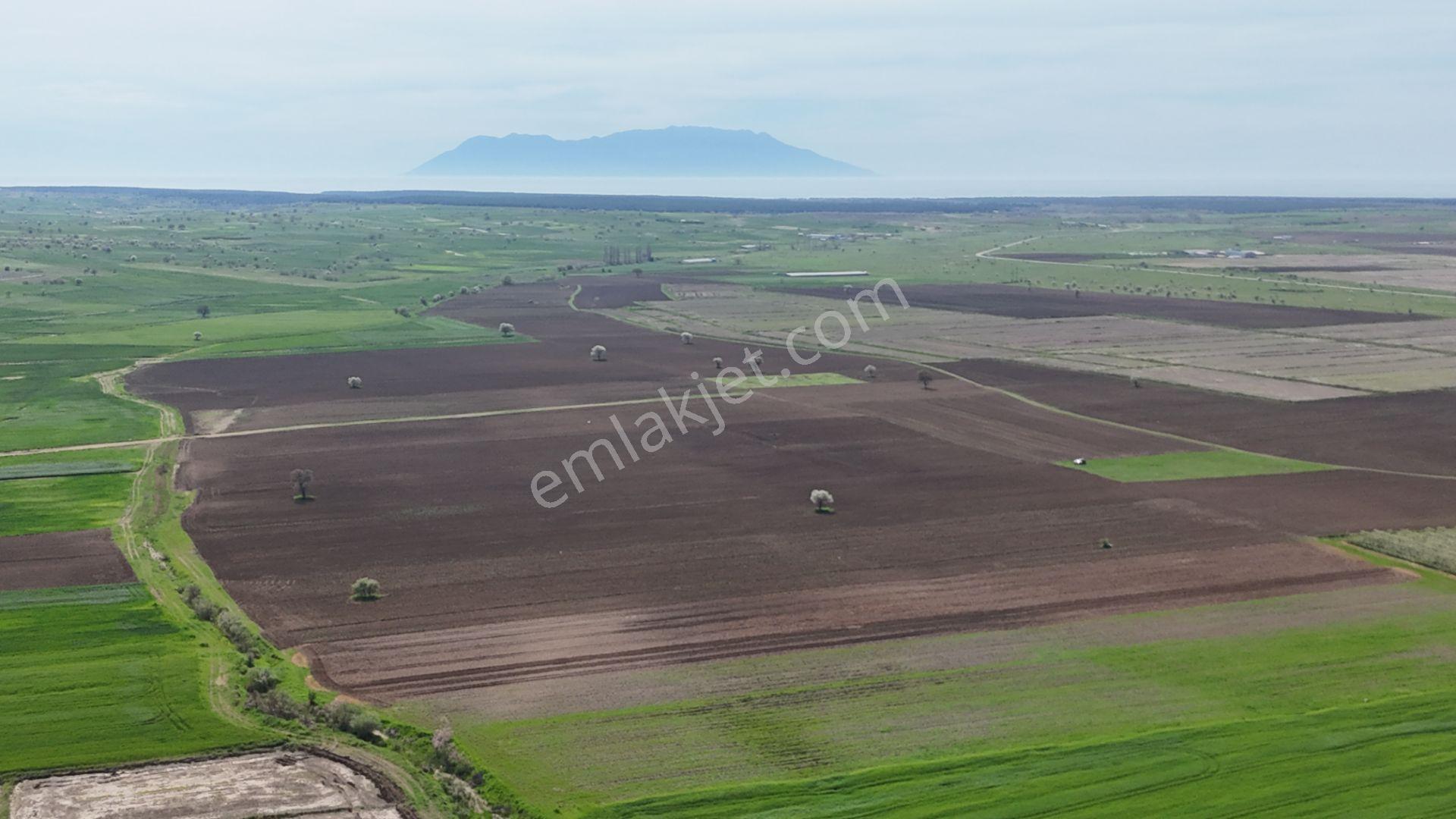 Ege Emlak'tan Enez Yenice De Sahile Yakın Arazi - Görsel 15
