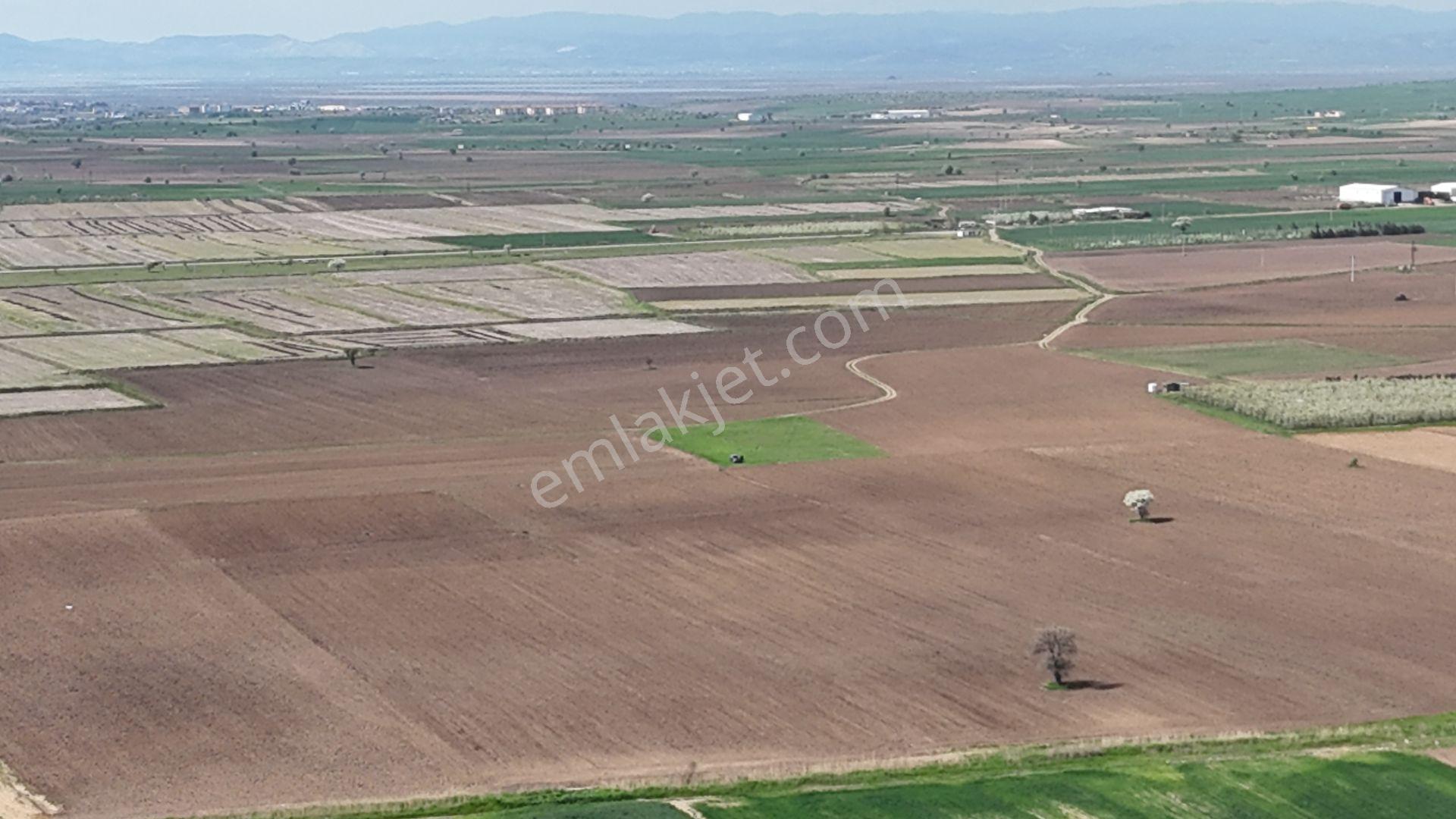 Ege Emlak'tan Enez Yenice De Sahile Yakın Arazi - Görsel 17