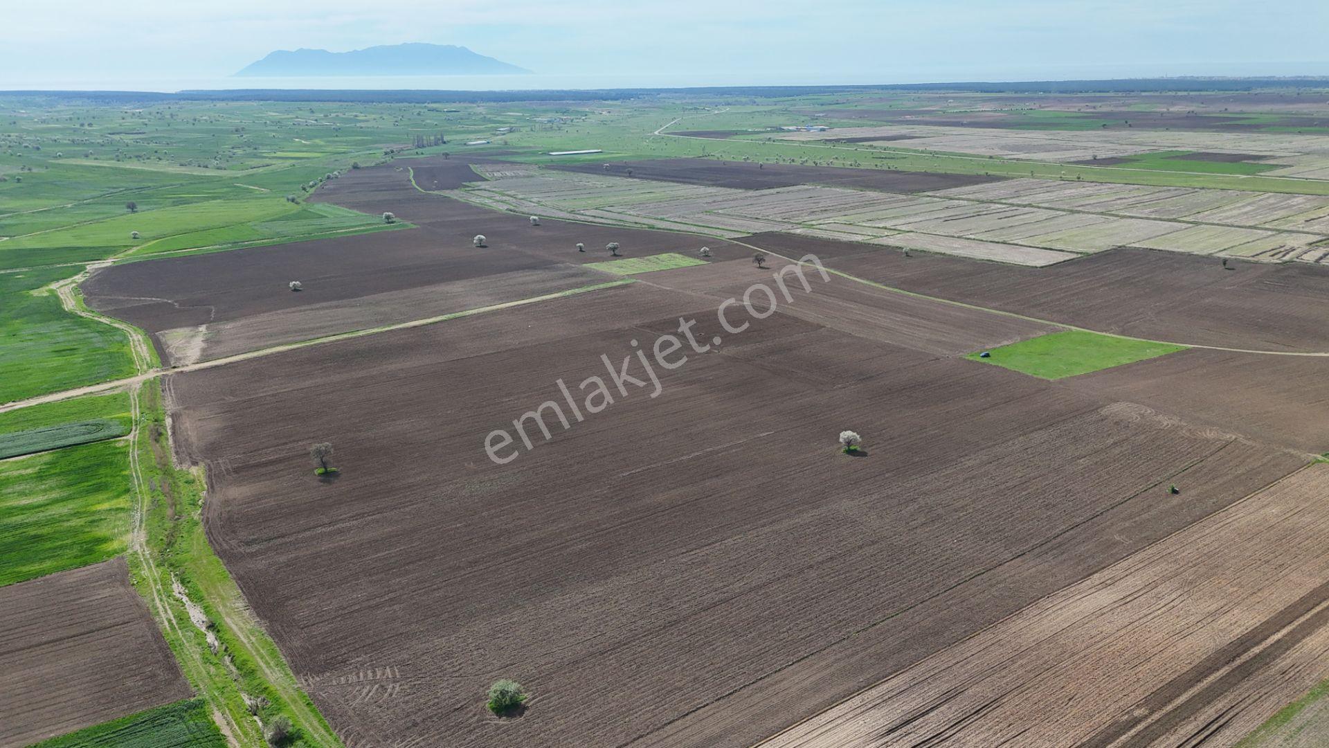 Ege Emlak'tan Enez Yenice De Sahile Yakın Arazi - Görsel 9