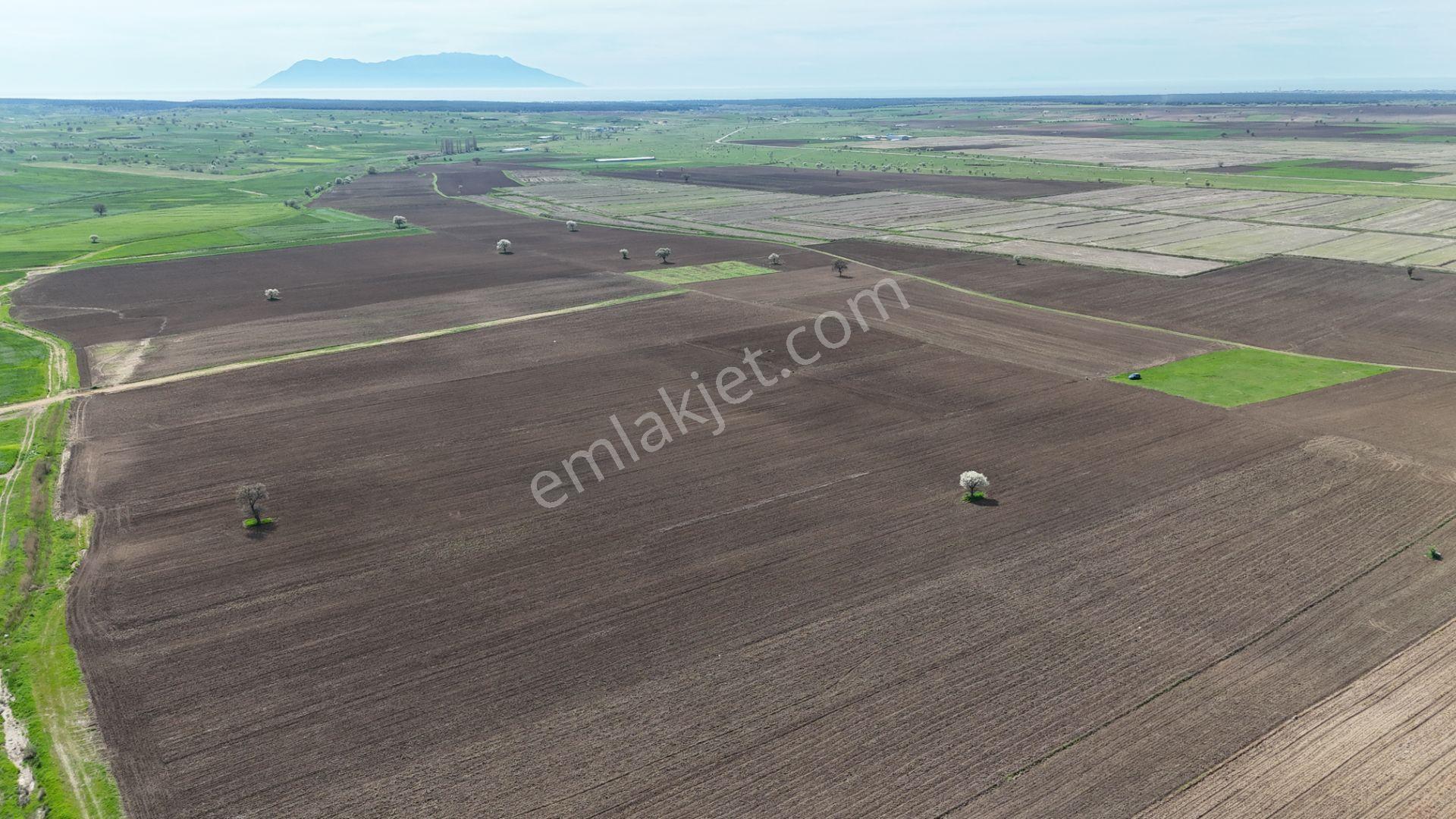 Ege Emlak'tan Enez Yenice De Sahile Yakın Arazi - Görsel 8