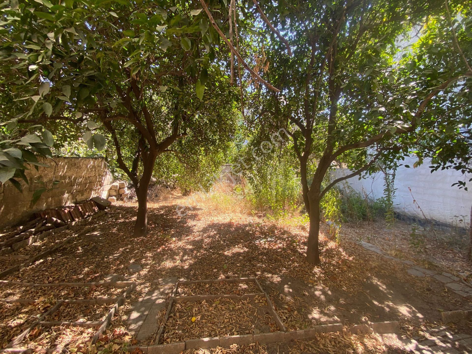 Konut Emlaktan Şirinevler Mahallesinde 270m2 Satılık Müstakil Daire - Görsel 4