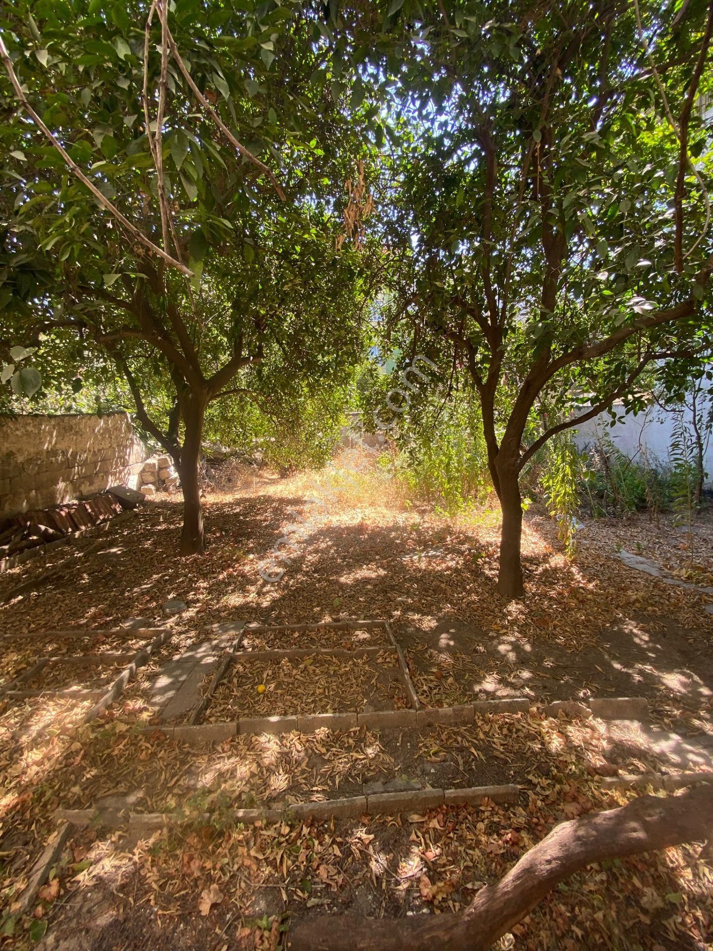 Konut Emlaktan Şirinevler Mahallesinde 270m2 Satılık Müstakil Daire - Görsel 6