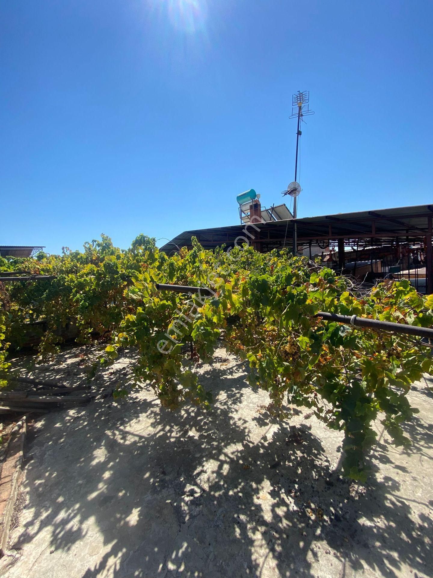 Konut Emlaktan Şirinevler Mahallesinde 270m2 Satılık Müstakil Daire - Görsel 7