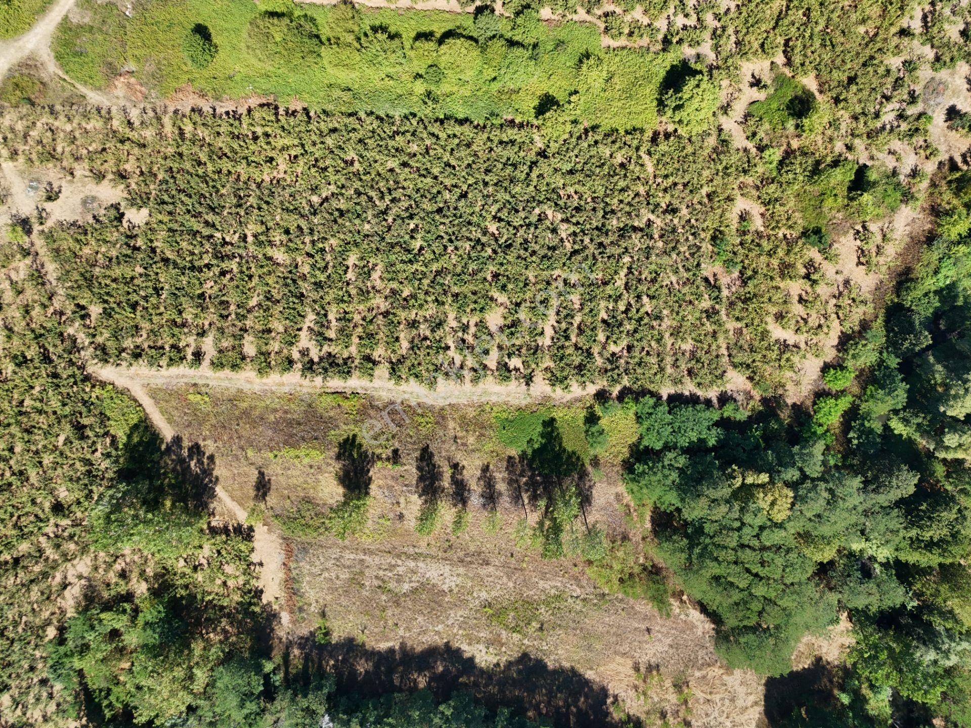 | Epa Uğur Düzce | Gümüşova Selamlar Satılık Yol Cepheli Parsel - Görsel 10