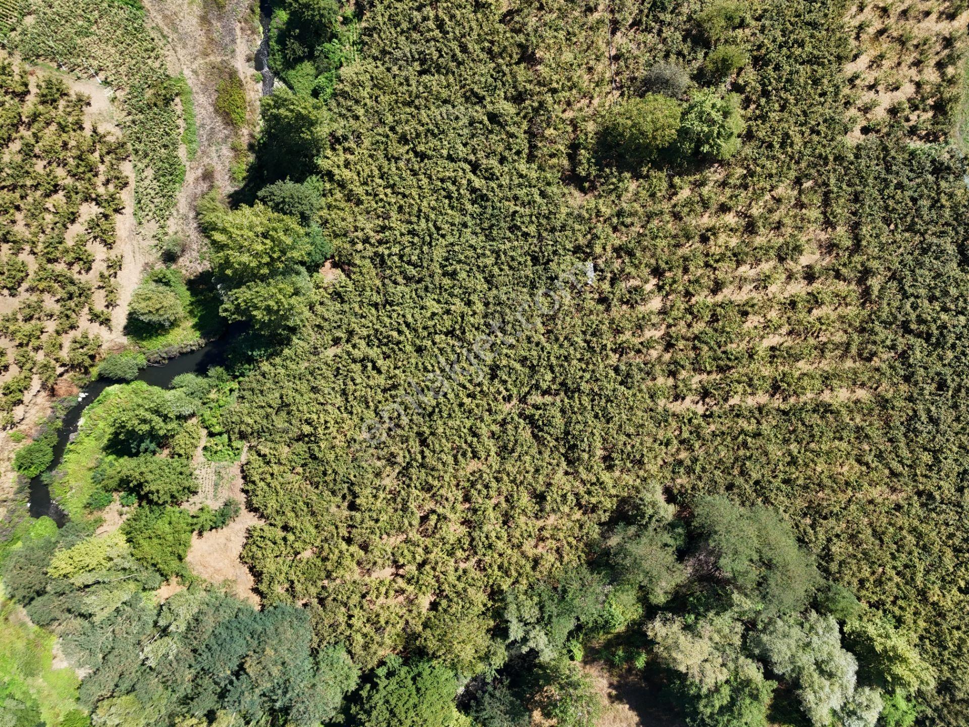 | Epa Uğur Düzce | Gümüşova Selamlar Satılık Yol Cepheli Parsel - Görsel 9
