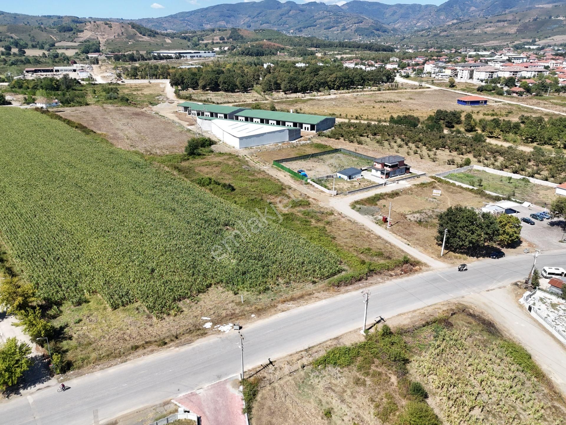 | Epa Uğur Düzce | Gümüşova Fatihde Köşe Parsel Satılık Arsa - Görsel 9