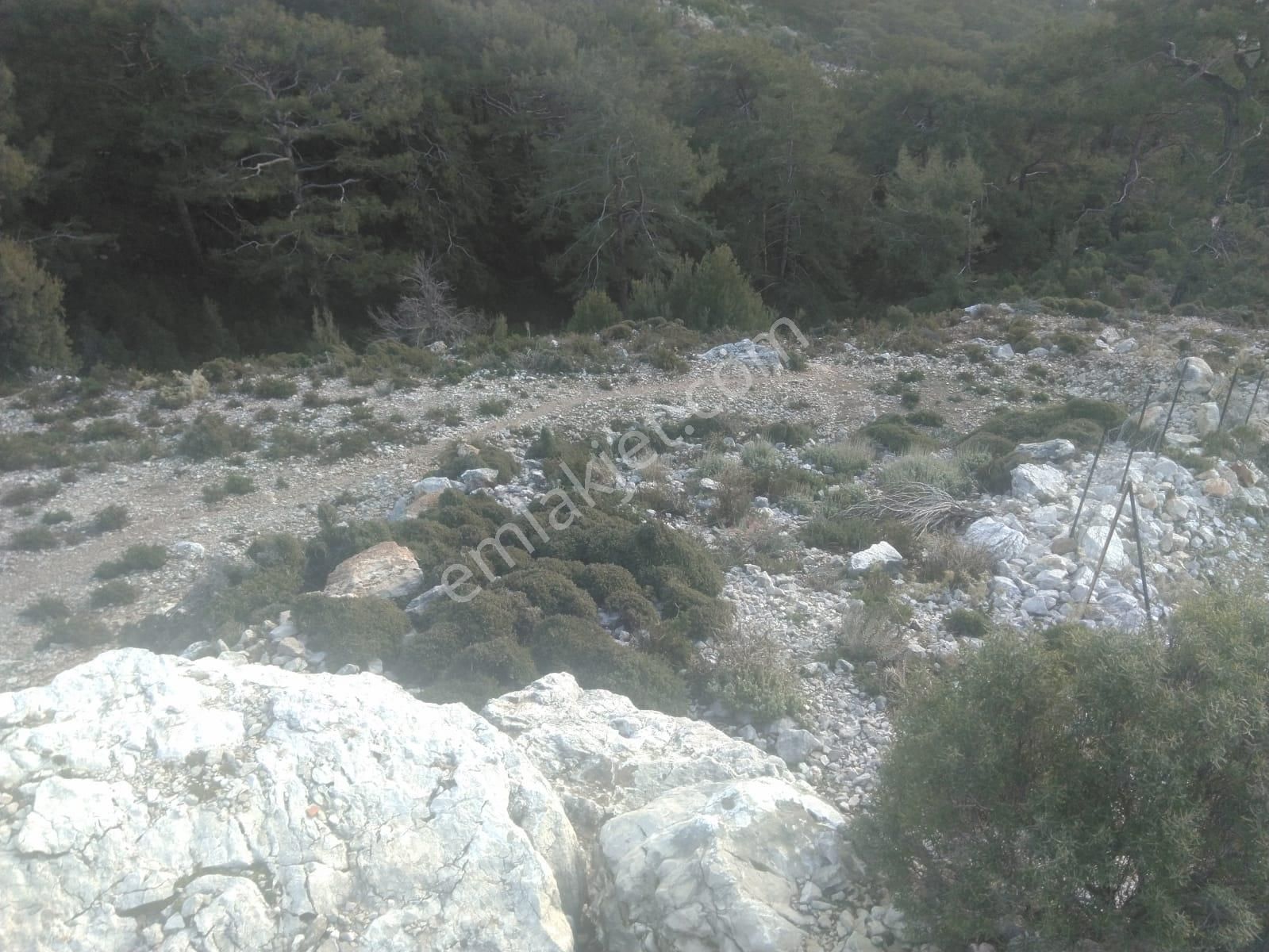 Goldhouse Dan Satılık Tarla Karaağaç Ta Yatırıma Uygun 6506m2 - Görsel 6