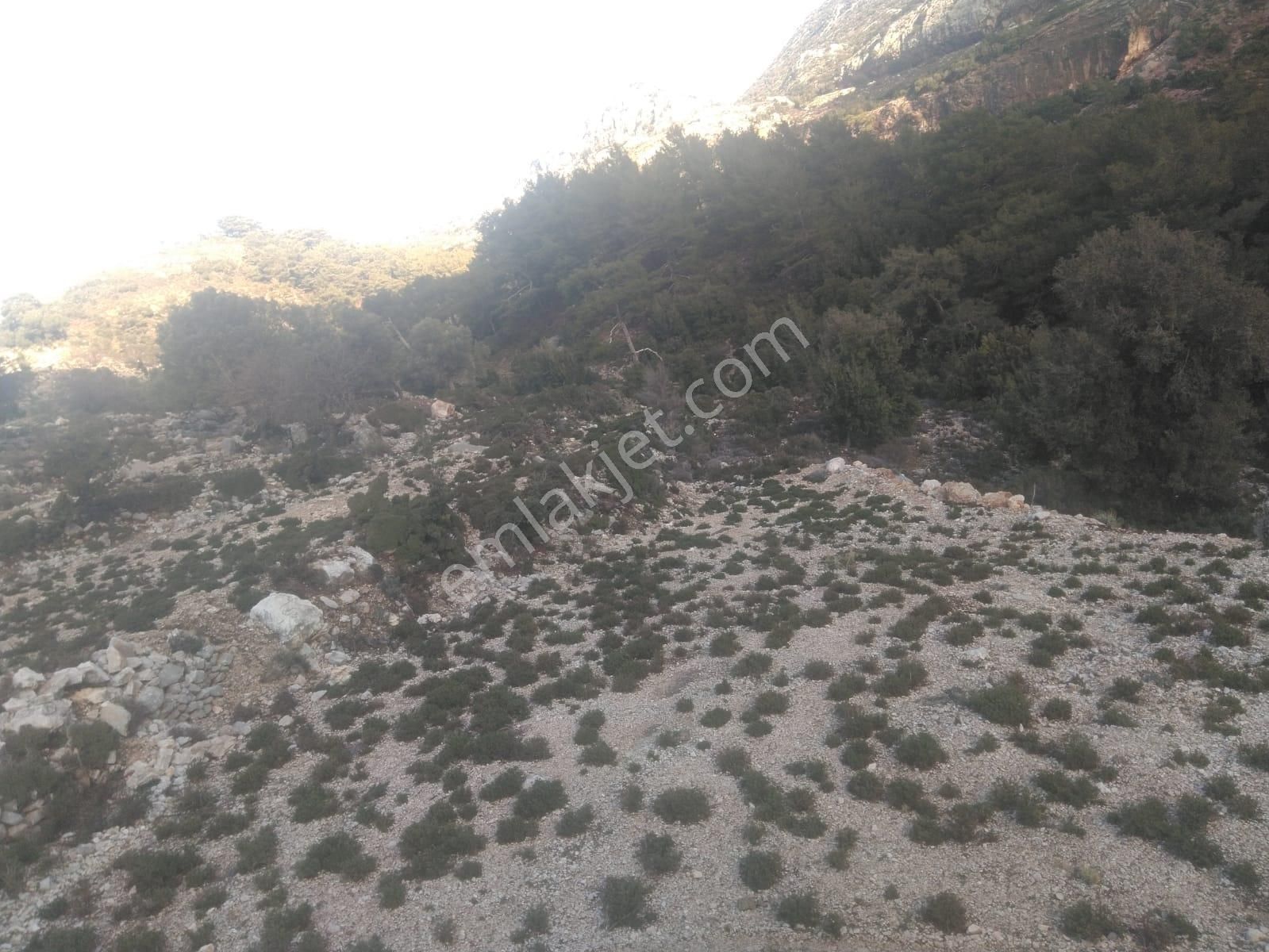Goldhouse Dan Satılık Tarla Karaağaç Ta Yatırıma Uygun 6506m2 - Görsel 7