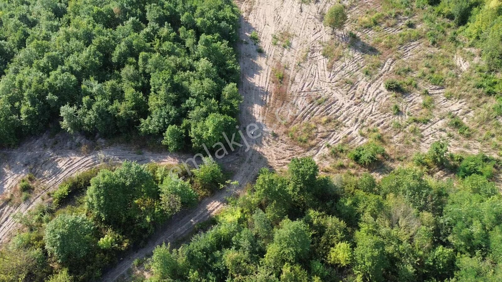 Sapanca Bungalowlar Bölgesinde İmara 130 Metre Göl Manzaralı - Görsel 11