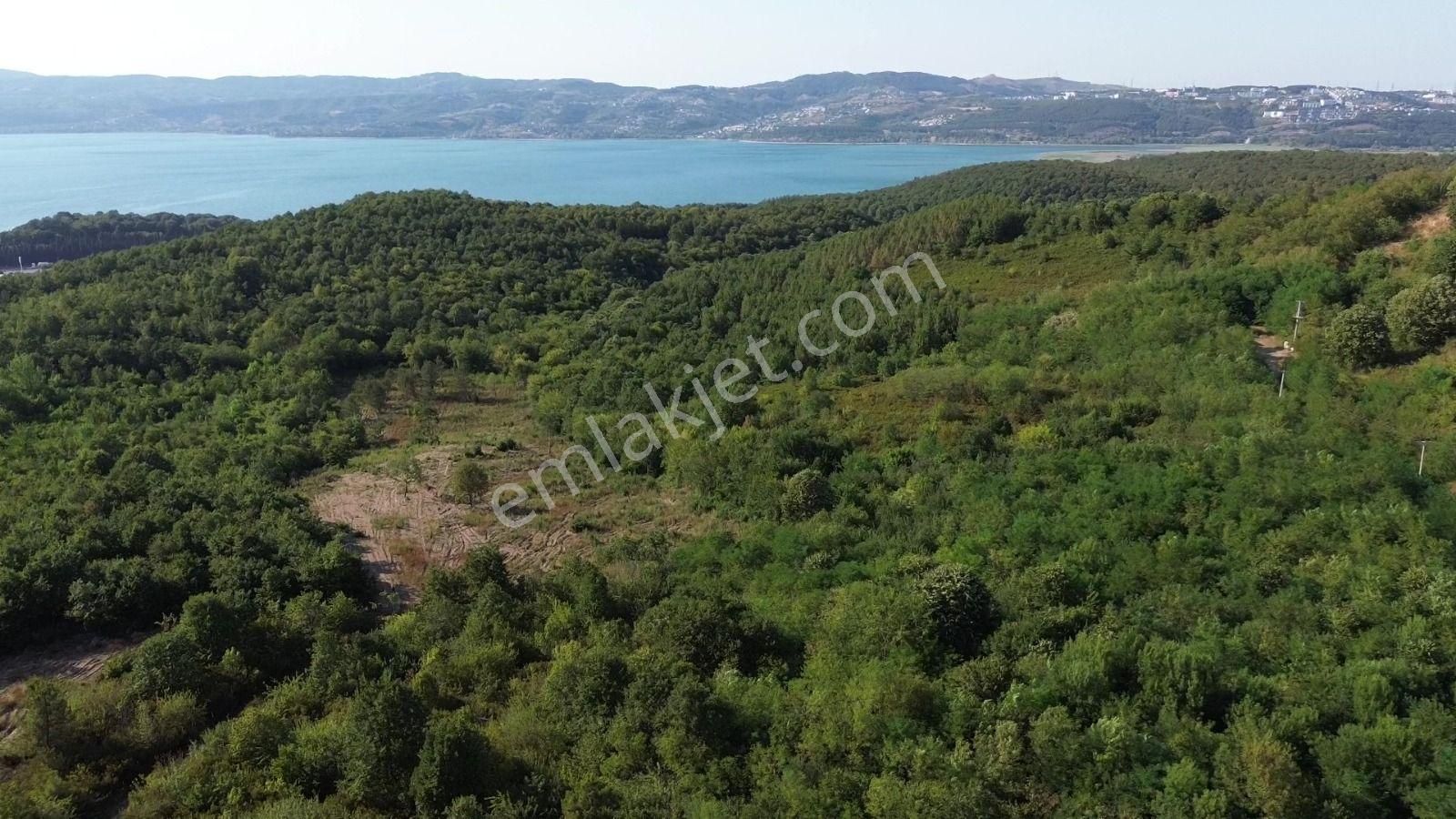 Sapanca Bungalowlar Bölgesinde İmara 130 Metre Göl Manzaralı - Görsel 16