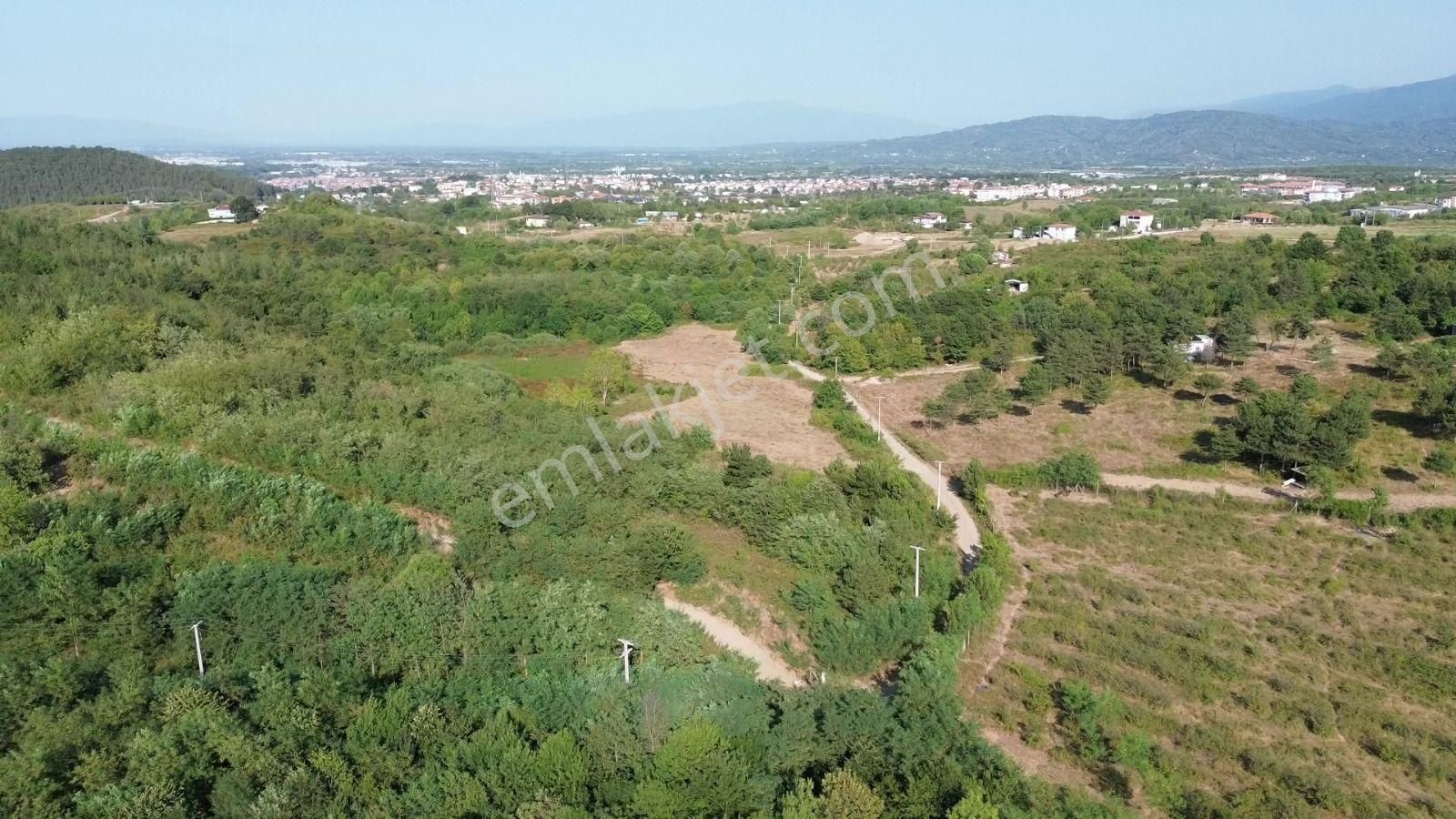 Sapanca Bungalowlar Bölgesinde İmara 130 Metre Göl Manzaralı - Görsel 15