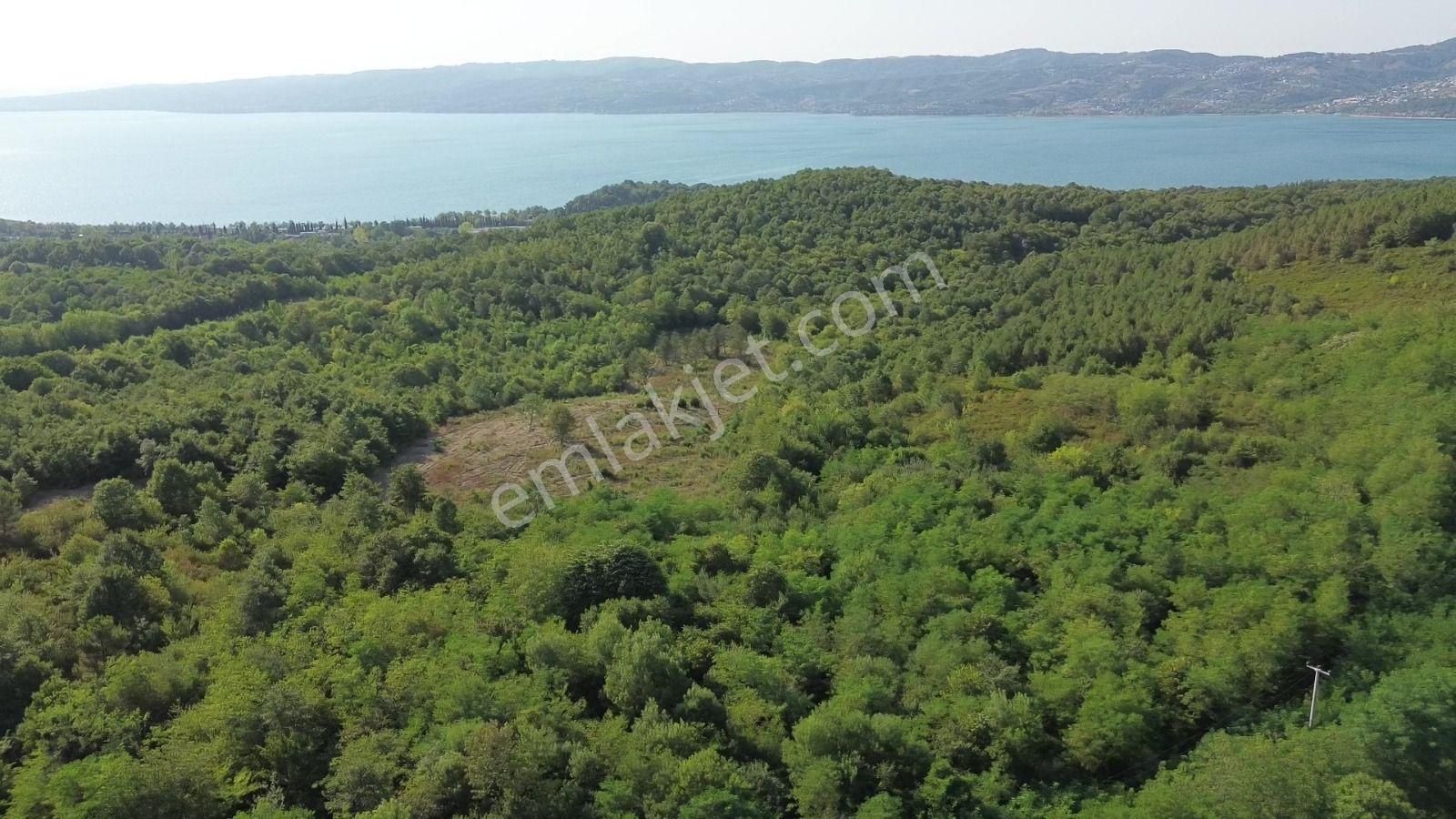 Sapanca Bungalowlar Bölgesinde İmara 130 Metre Göl Manzaralı - Görsel 10