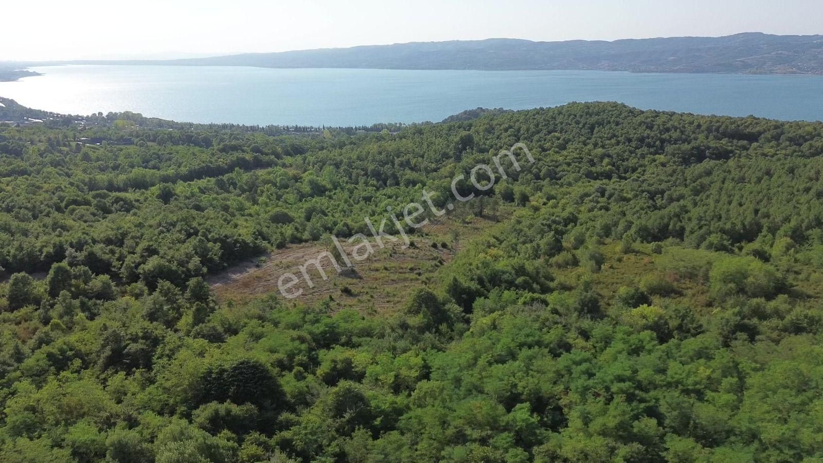 Sapanca Bungalowlar Bölgesinde İmara 130 Metre Göl Manzaralı - Görsel 14