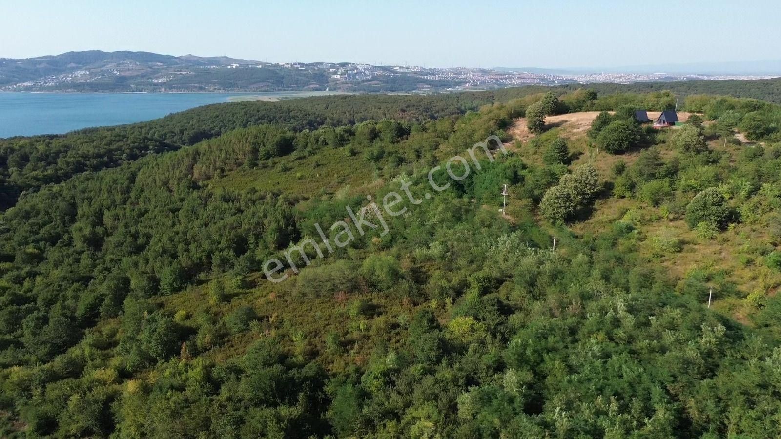 Sapanca Bungalowlar Bölgesinde İmara 130 Metre Göl Manzaralı - Görsel 12