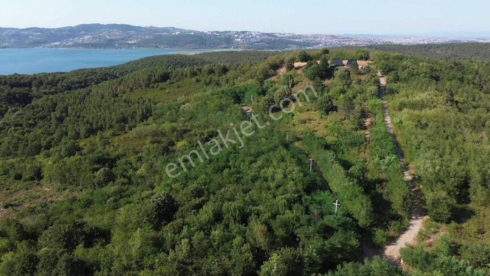 Sapanca Bungalowlar Bölgesinde İmara 130 Metre Göl Manzaralı - Görsel 13