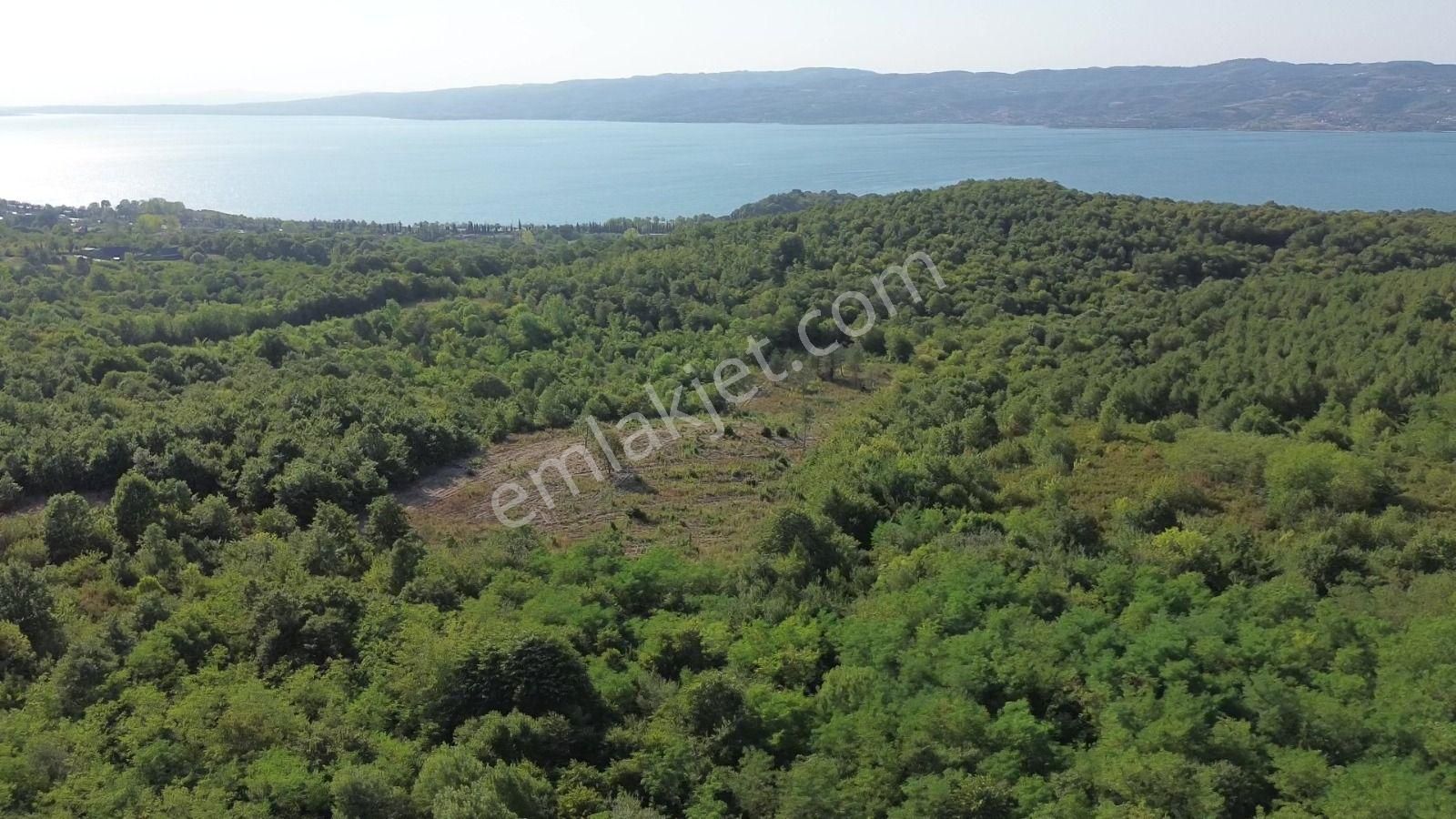 Sapanca Bungalowlar Bölgesinde İmara 130 Metre Göl Manzaralı - Görsel 9