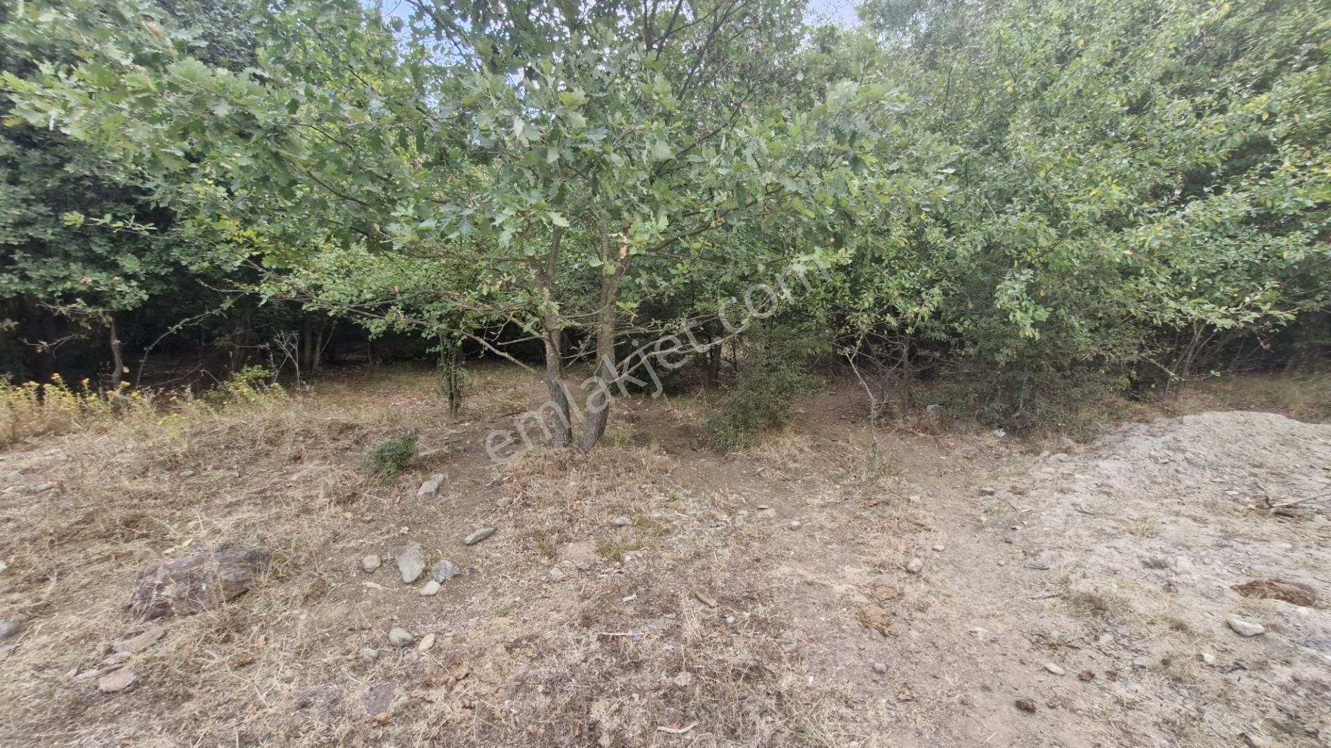 Kocaeli Kartepe 320 M² Sanayi İmarlı Merkezi Konum Satılık Arsa - Görsel 22