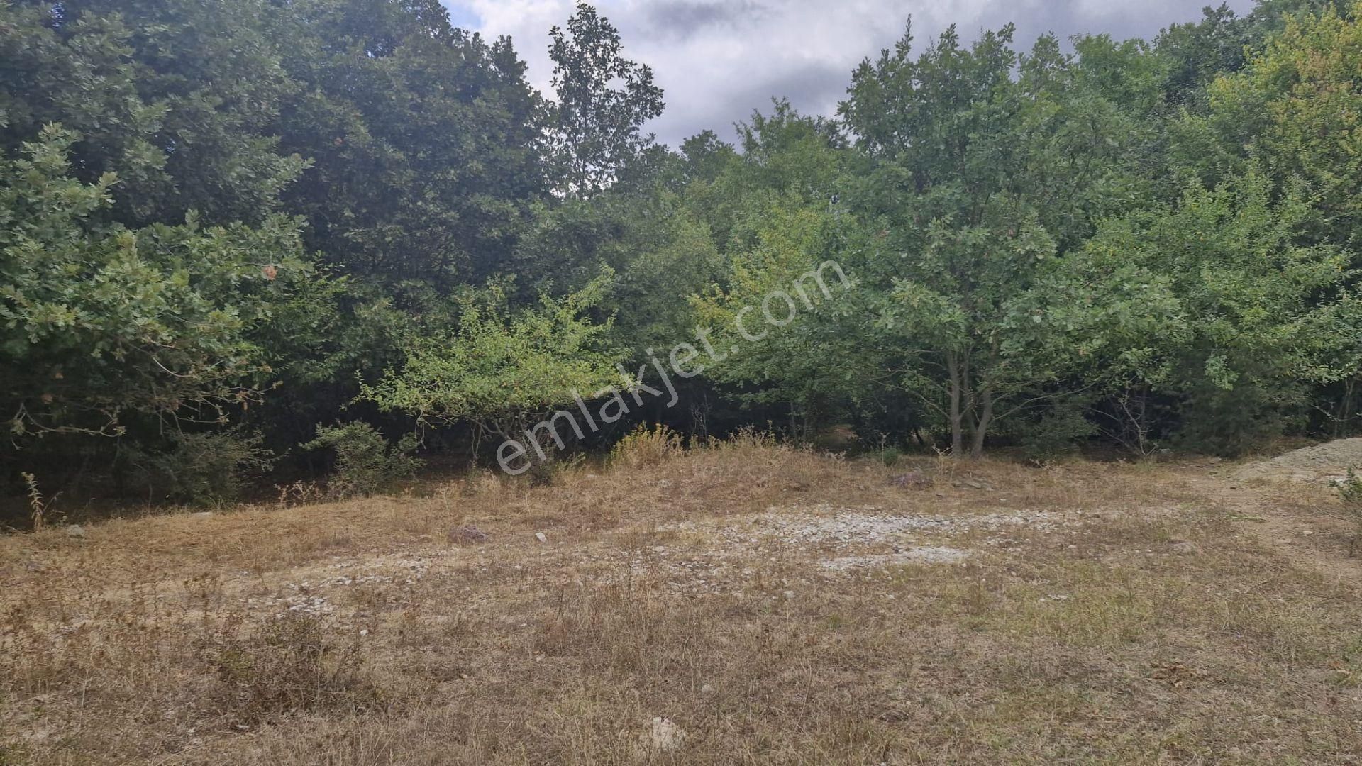 Kocaeli Kartepe 320 M² Sanayi İmarlı Merkezi Konum Satılık Arsa - Görsel 4