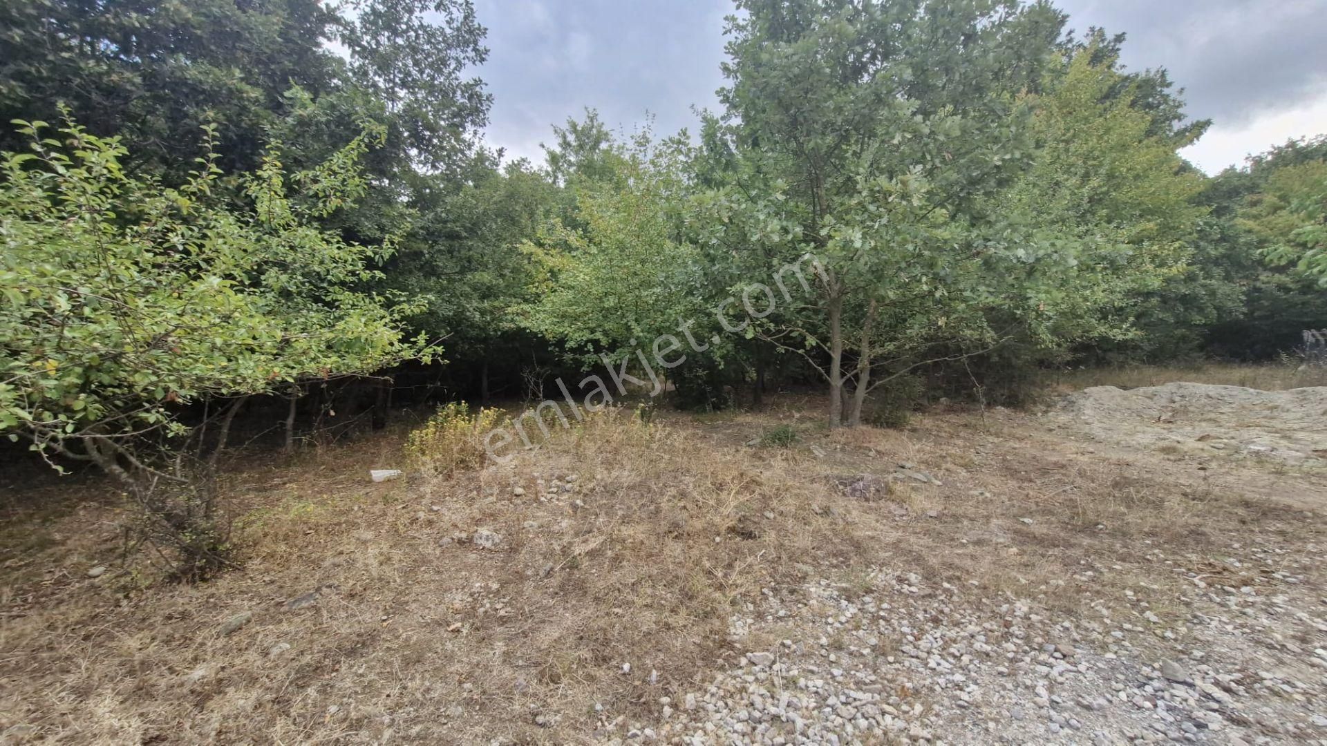 Kocaeli Kartepe 320 M² Sanayi İmarlı Merkezi Konum Satılık Arsa - Görsel 17