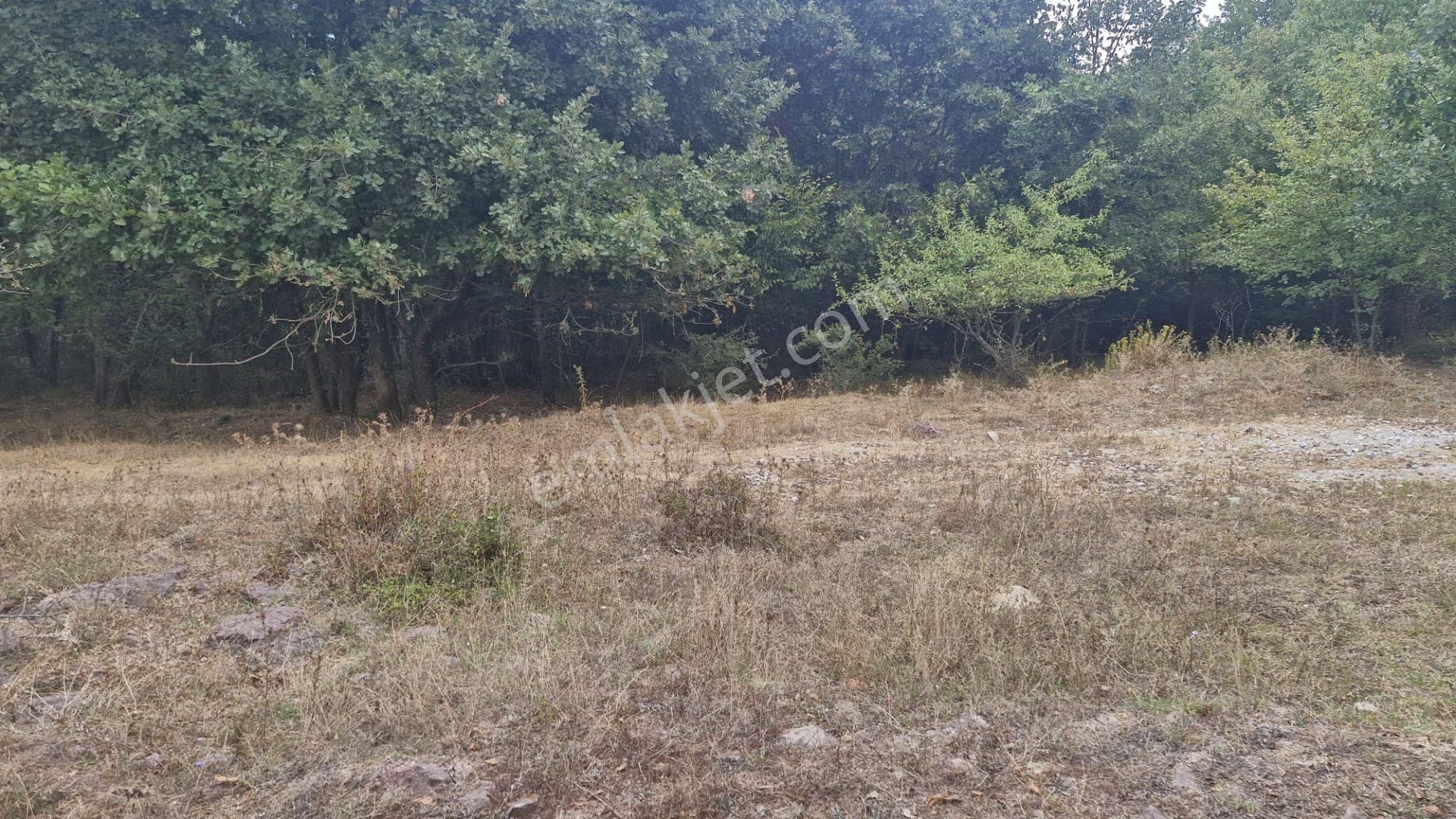 Kocaeli Kartepe 320 M² Sanayi İmarlı Merkezi Konum Satılık Arsa - Görsel 7