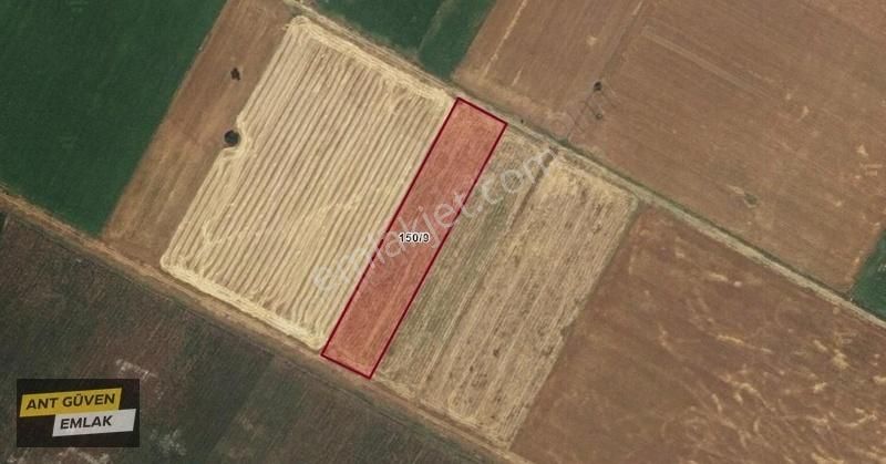Burdur Tefenni'de 5891m² Yolu Suyu Elektriği Olan Tek Tapu Tarla - Görsel 5