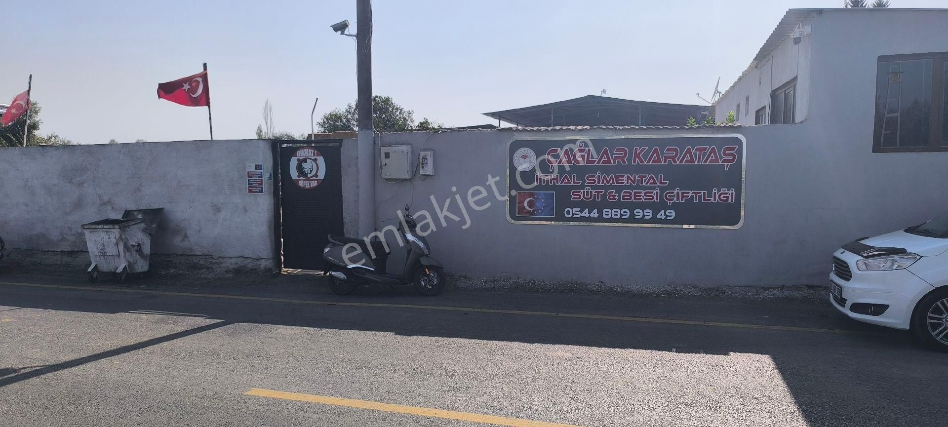 Aydın-denizli Yoluna 750 M Mesafede Satılık Çiftlik - Görsel 24