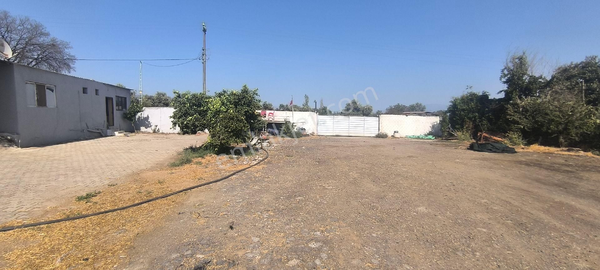 Aydın-denizli Yoluna 750 M Mesafede Satılık Çiftlik - Görsel 23