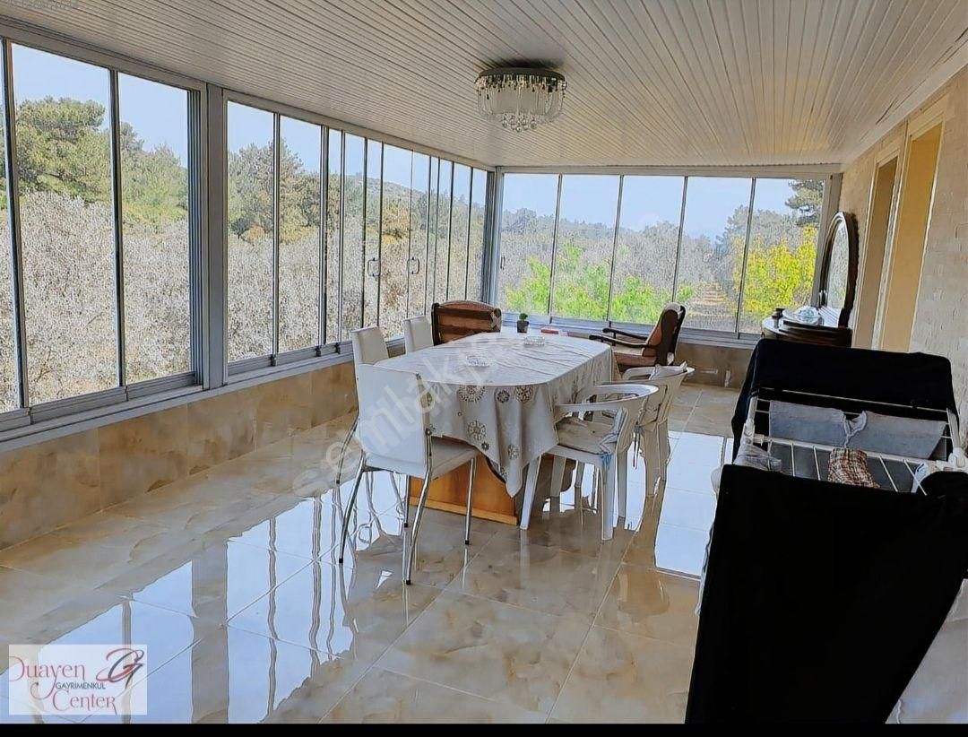 Aydın Kuşadası Yeniköyde Satılık Çiftlik. - Görsel 12