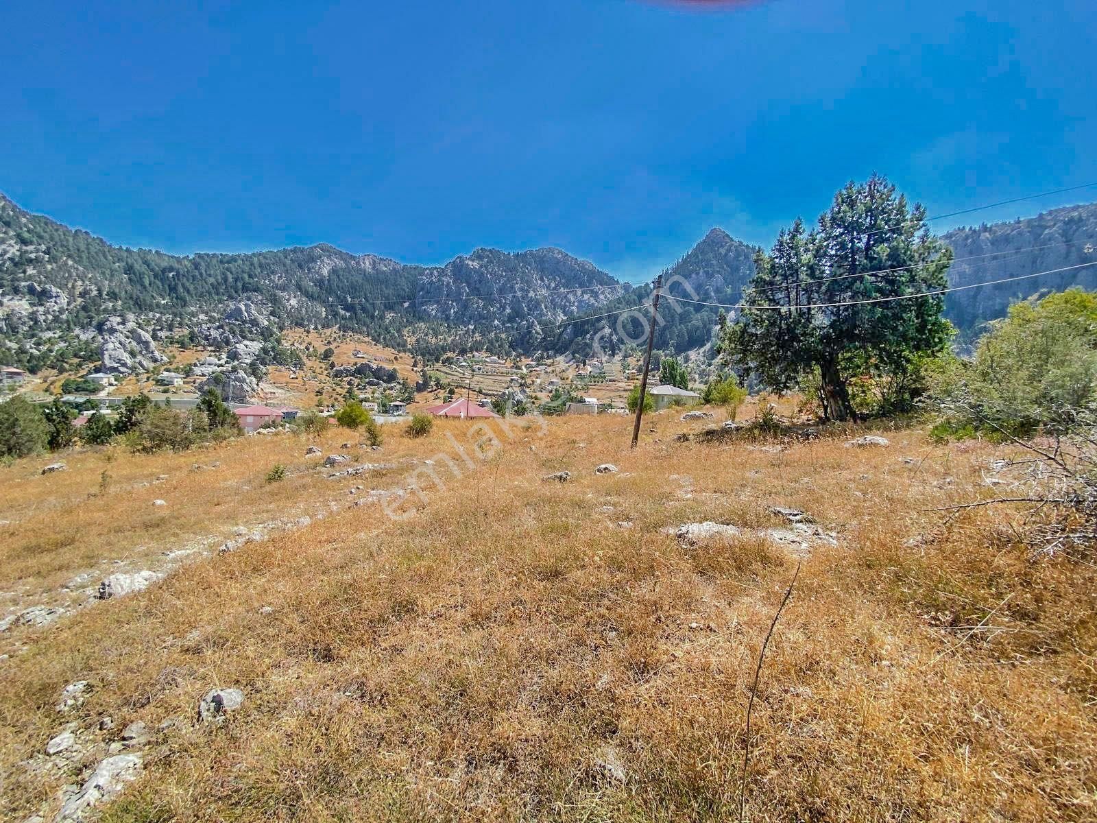 Alanya Kaplanhanı Yaylasında Satılık 2.224 M2 Tek Tapu Tarla - Görsel 5