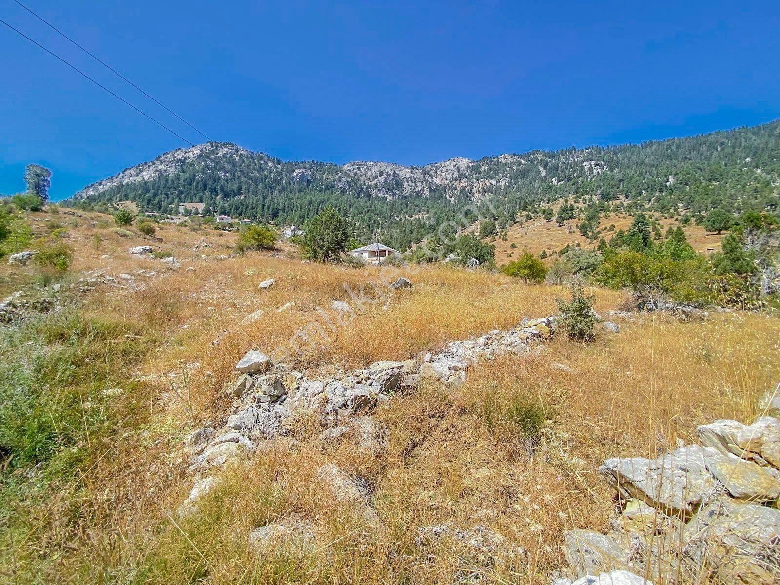 Alanya Kaplanhanı Yaylasında Satılık 2.224 M2 Tek Tapu Tarla