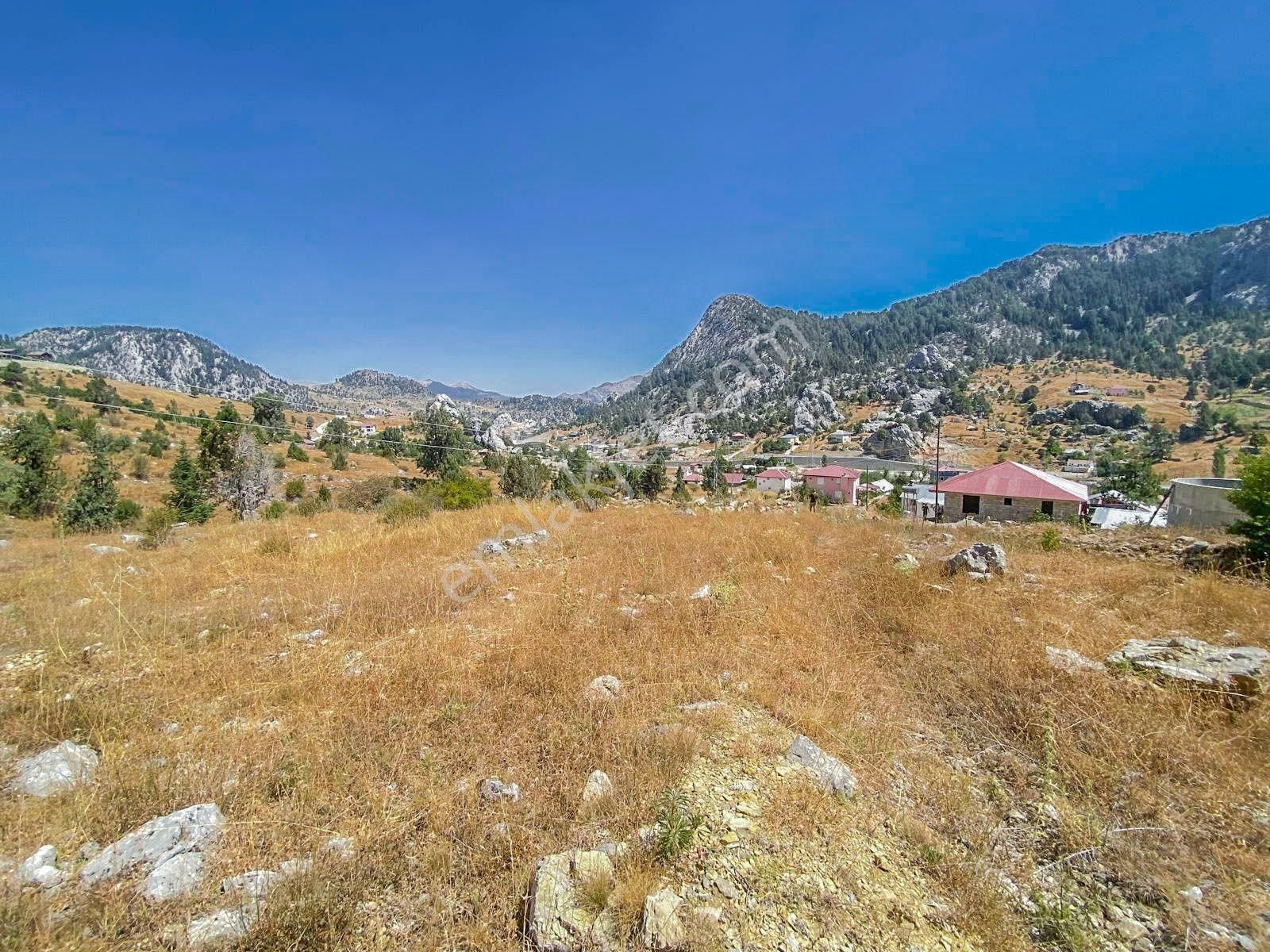 Alanya Kaplanhanı Yaylasında Satılık 2.224 M2 Tek Tapu Tarla - Görsel 2