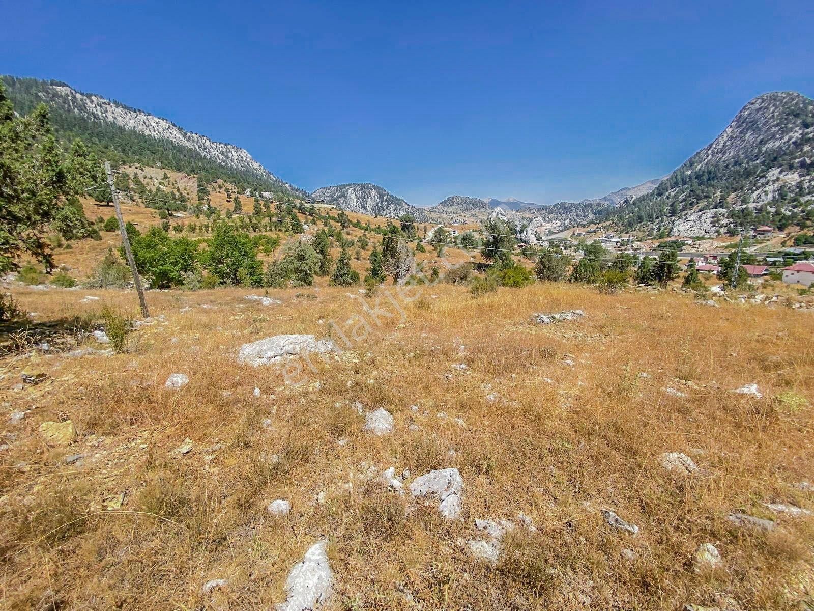Alanya Kaplanhanı Yaylasında Satılık 2.224 M2 Tek Tapu Tarla - Görsel 6