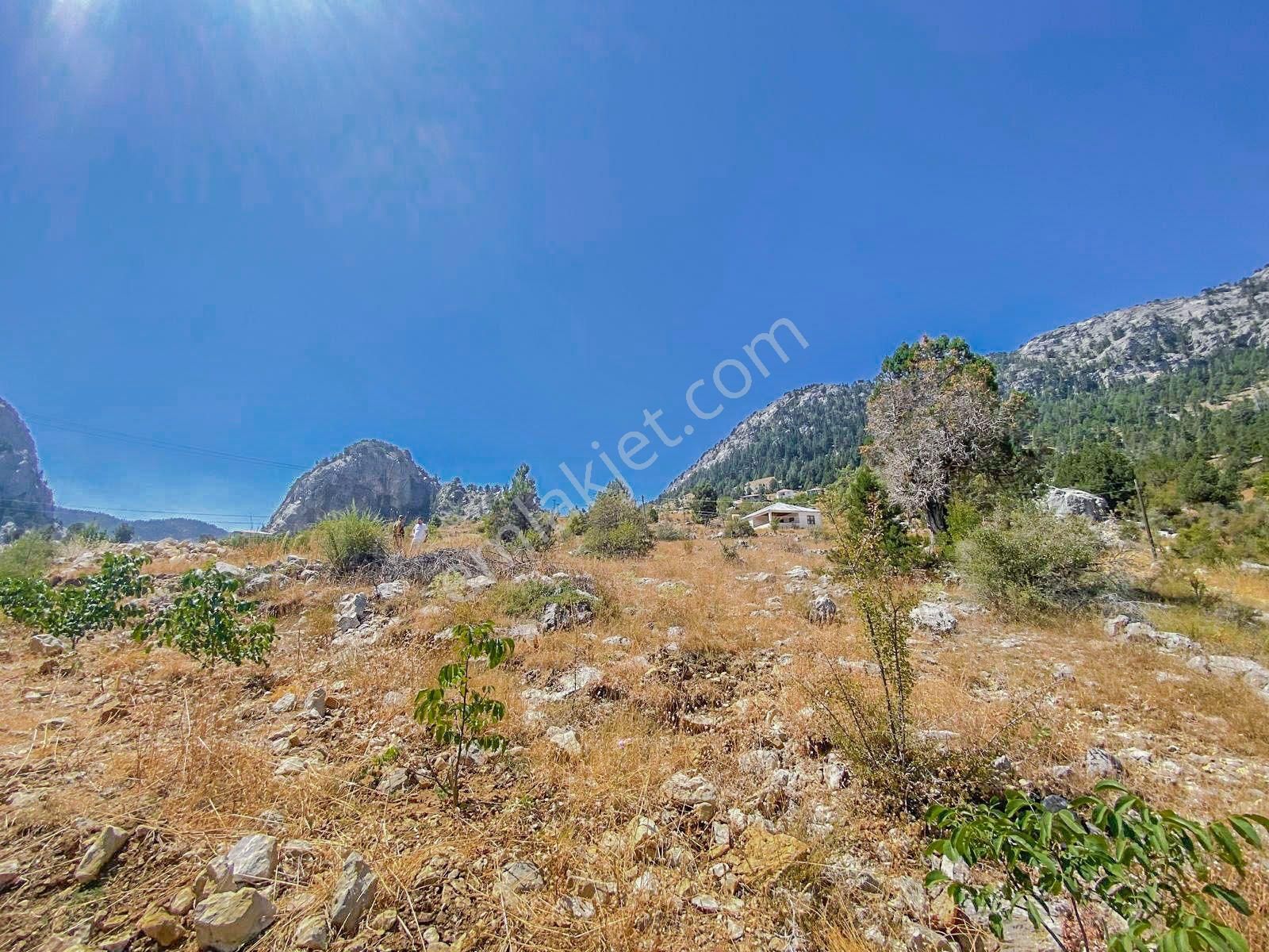 Alanya Kaplanhanı Yaylasında Satılık 2.224 M2 Tek Tapu Tarla - Görsel 8