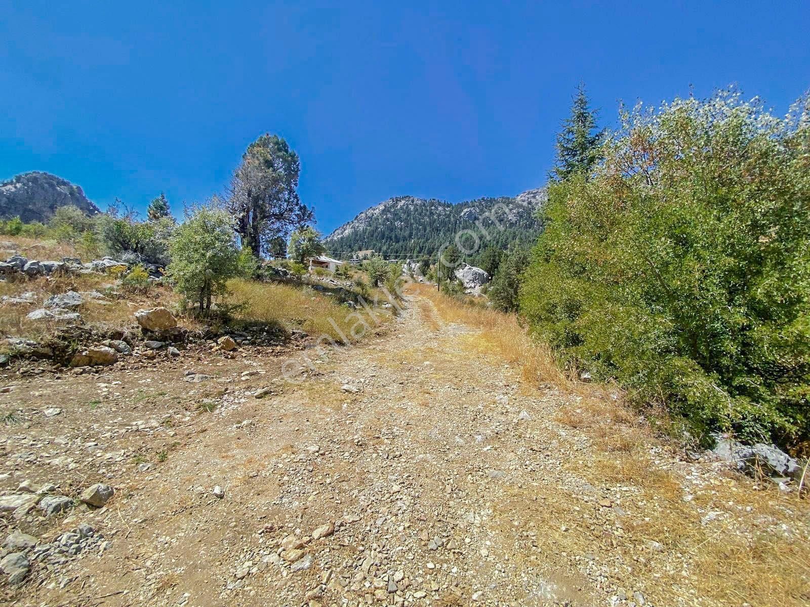 Alanya Kaplanhanı Yaylasında Satılık 2.224 M2 Tek Tapu Tarla - Görsel 20