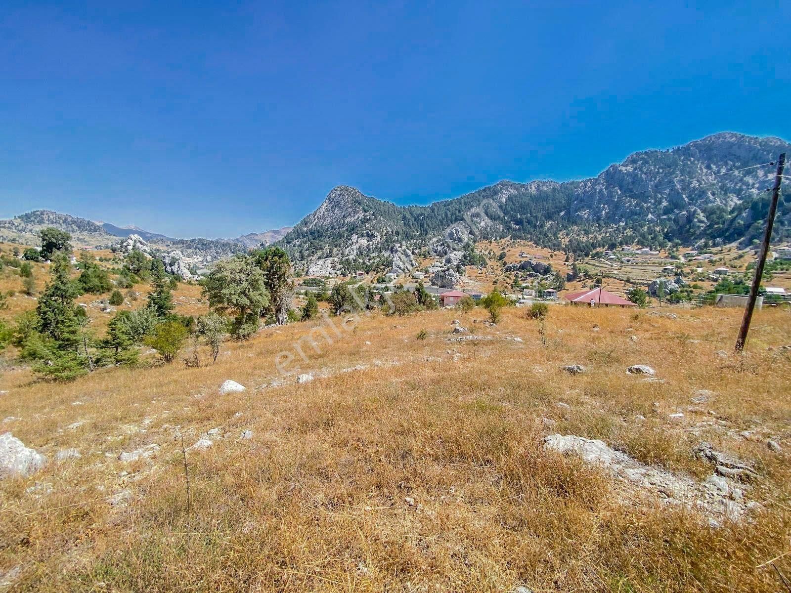 Alanya Kaplanhanı Yaylasında Satılık 2.224 M2 Tek Tapu Tarla - Görsel 4