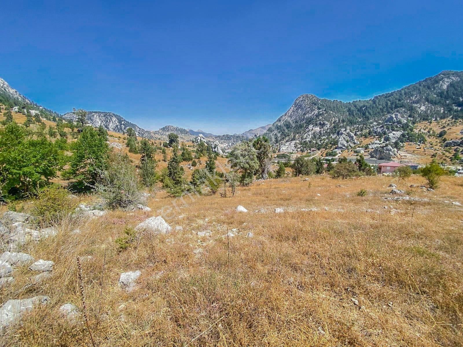 Alanya Kaplanhanı Yaylasında Satılık 2.224 M2 Tek Tapu Tarla - Görsel 16