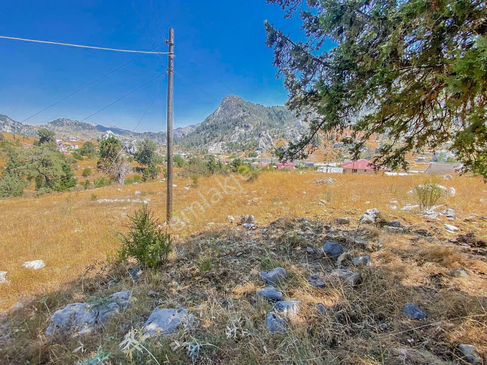 Alanya Kaplanhanı Yaylasında Satılık 2.224 M2 Tek Tapu Tarla - Görsel 13