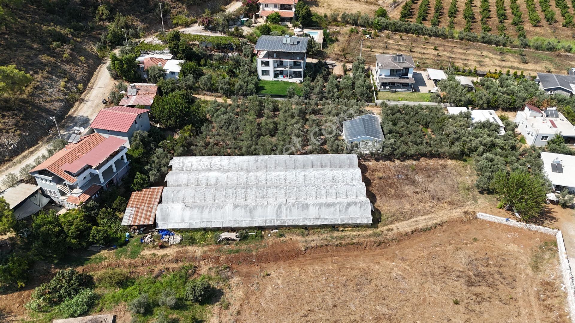 Goldhouse Dan Satılık Tarla Yanıklar Da Rızai Taksim Yapılmış Fırsat - Görsel 5