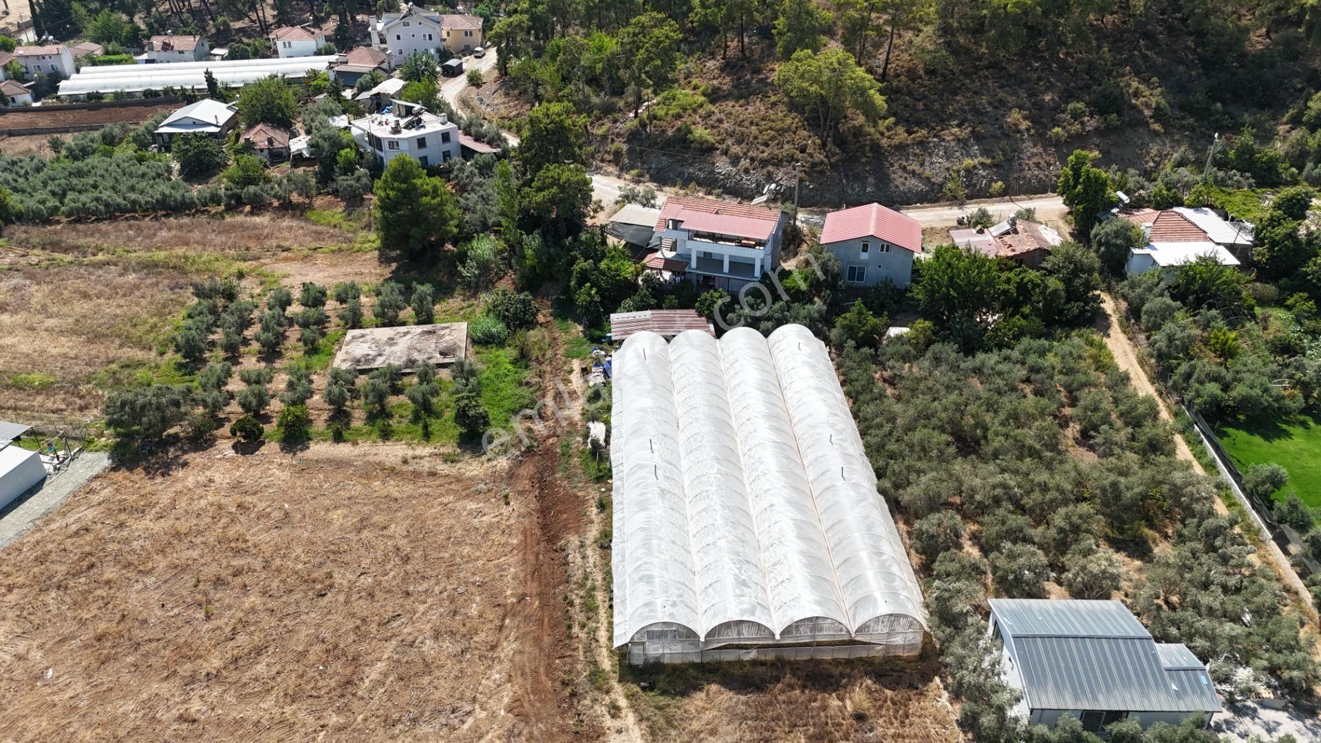 Goldhouse Dan Satılık Tarla Yanıklar Da Rızai Taksim Yapılmış Fırsat - Görsel 12