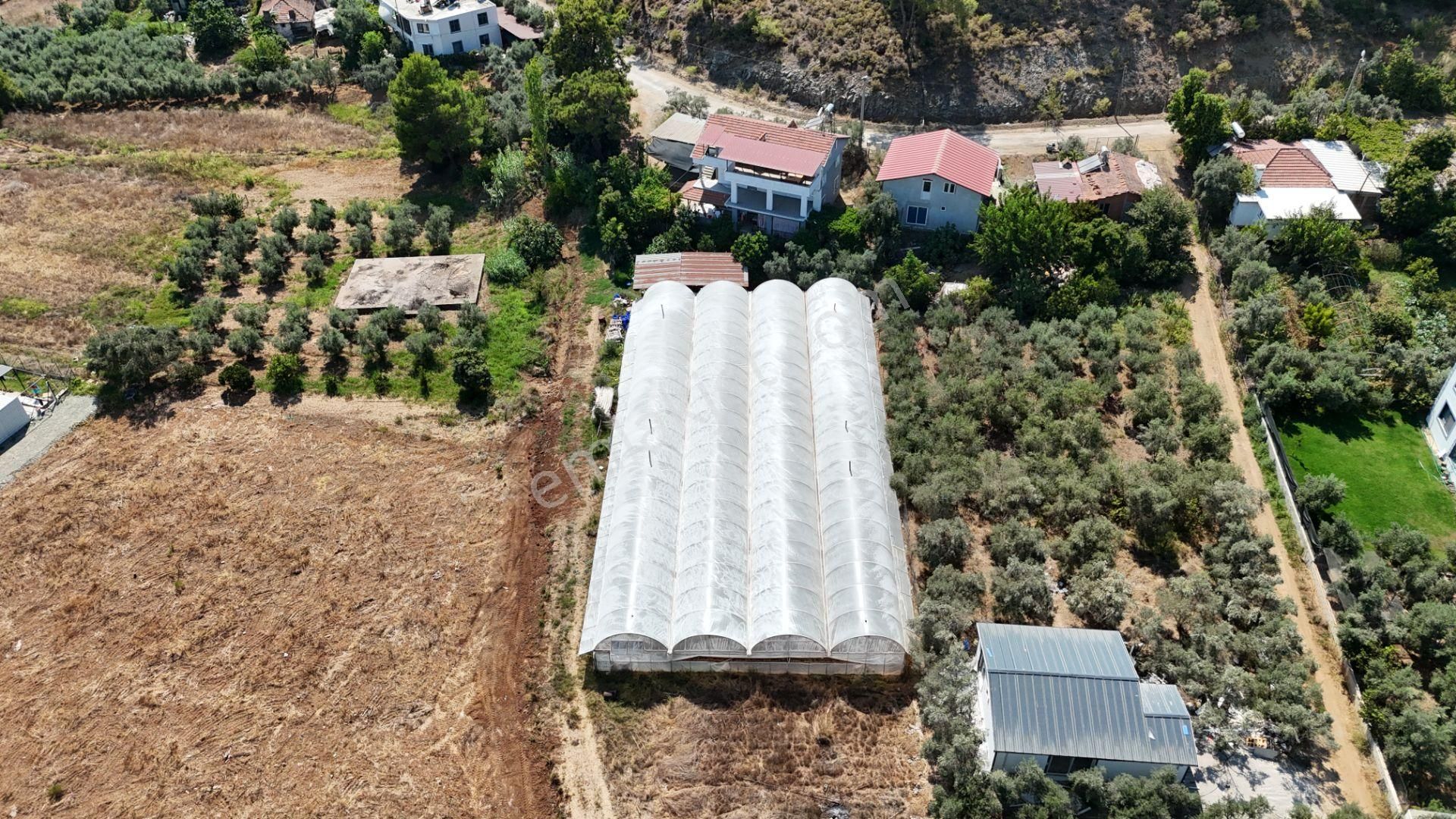Goldhouse Dan Satılık Tarla Yanıklar Da Rızai Taksim Yapılmış Fırsat - Görsel 10