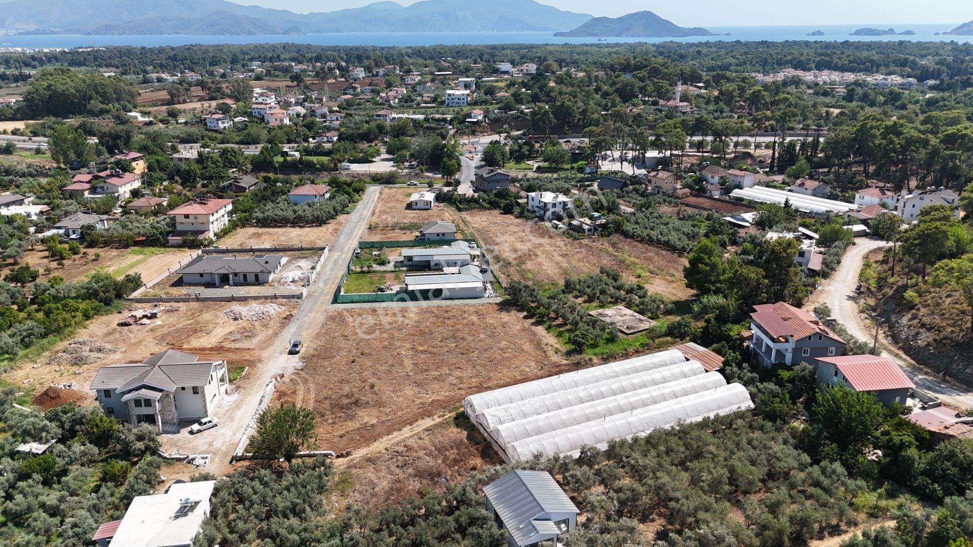 Goldhouse Dan Satılık Tarla Yanıklar Da Rızai Taksim Yapılmış Fırsat - Görsel 3