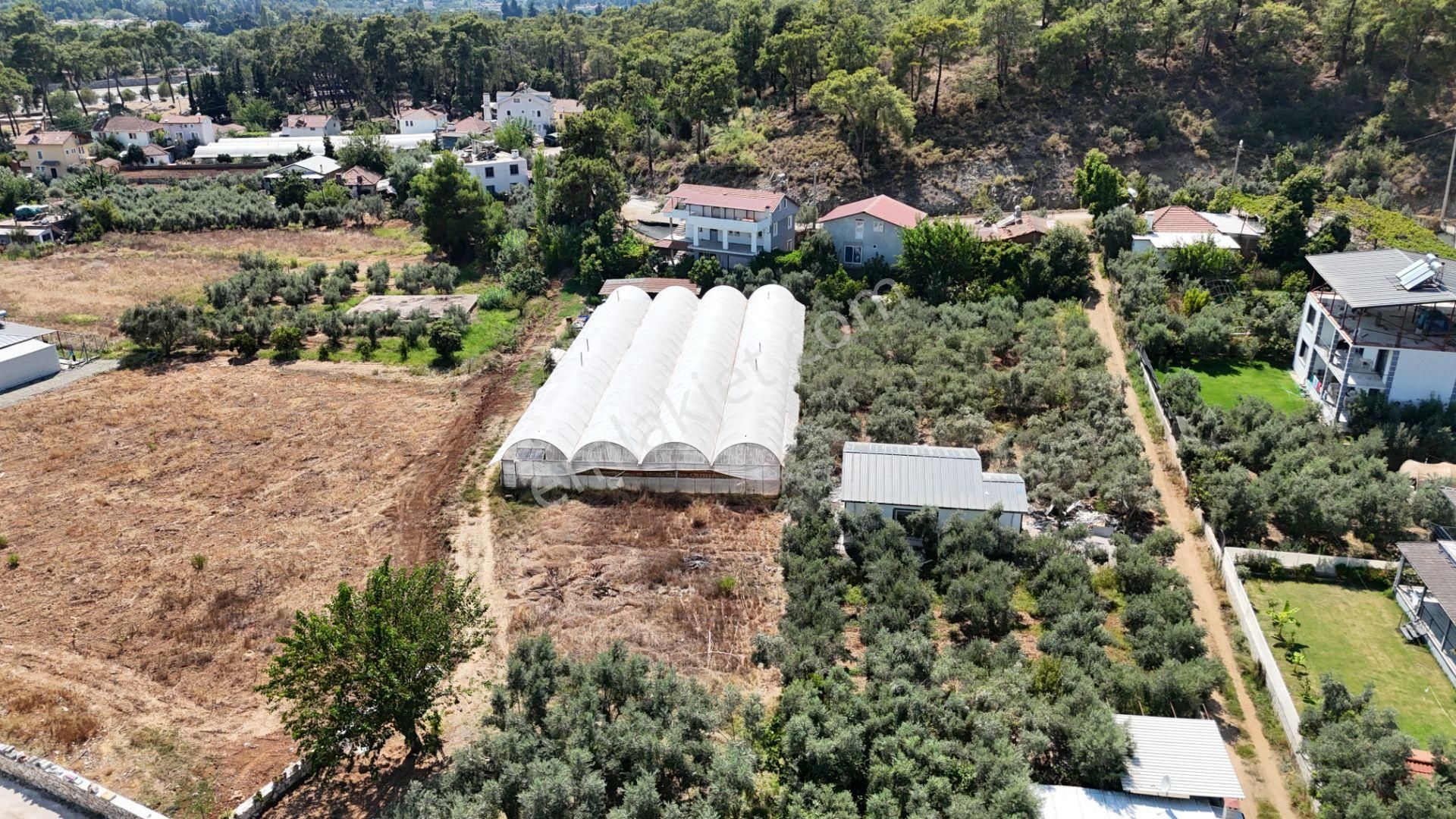 Goldhouse Dan Satılık Tarla Yanıklar Da Rızai Taksim Yapılmış Fırsat - Görsel 7