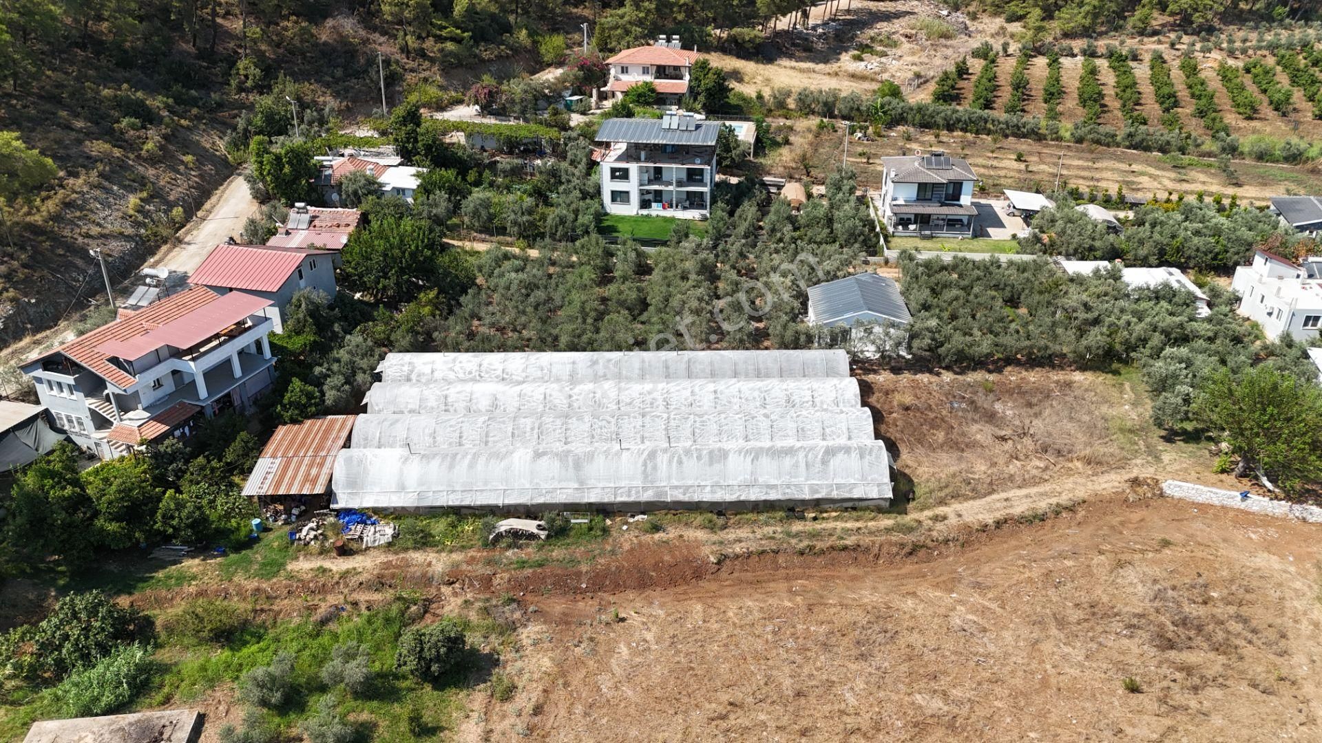 Goldhouse Dan Satılık Tarla Yanıklar Da Rızai Taksim Yapılmış Fırsat - Görsel 6